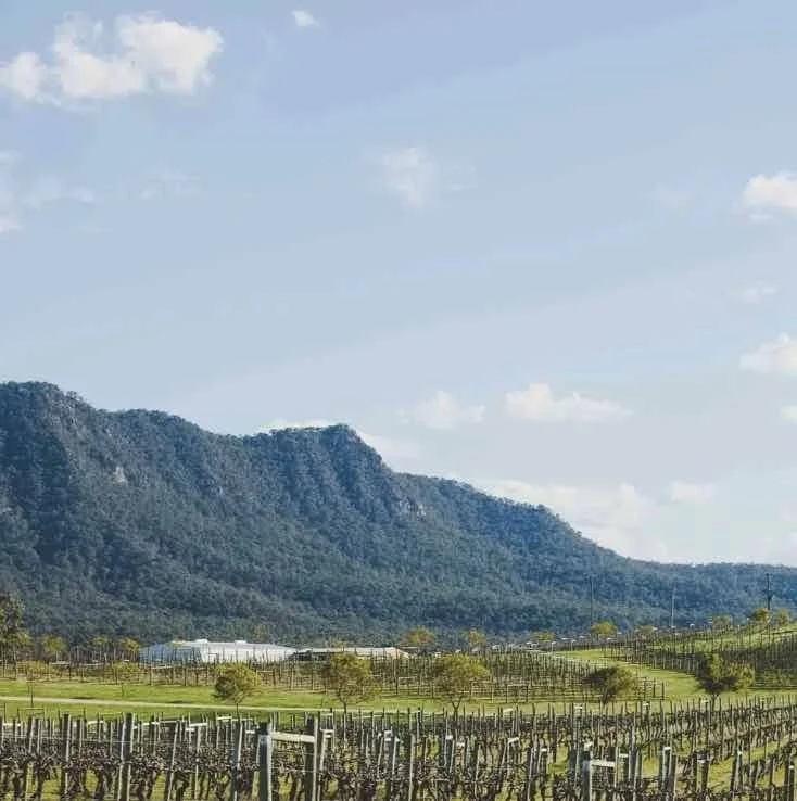 Screen Shot 2026-03-11 at 20.06.13.jpg