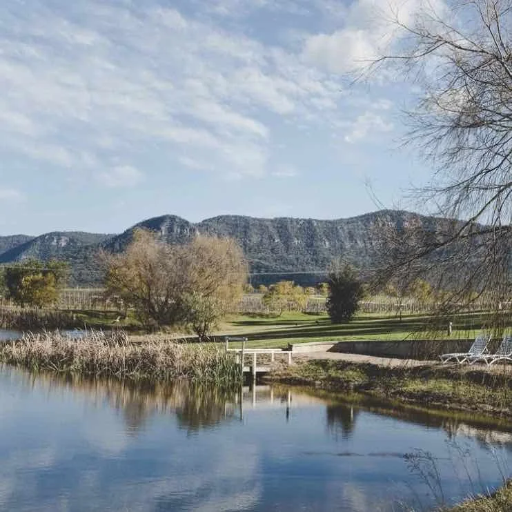 Screen Shot 2026-03-11 at 20.06.22.jpg