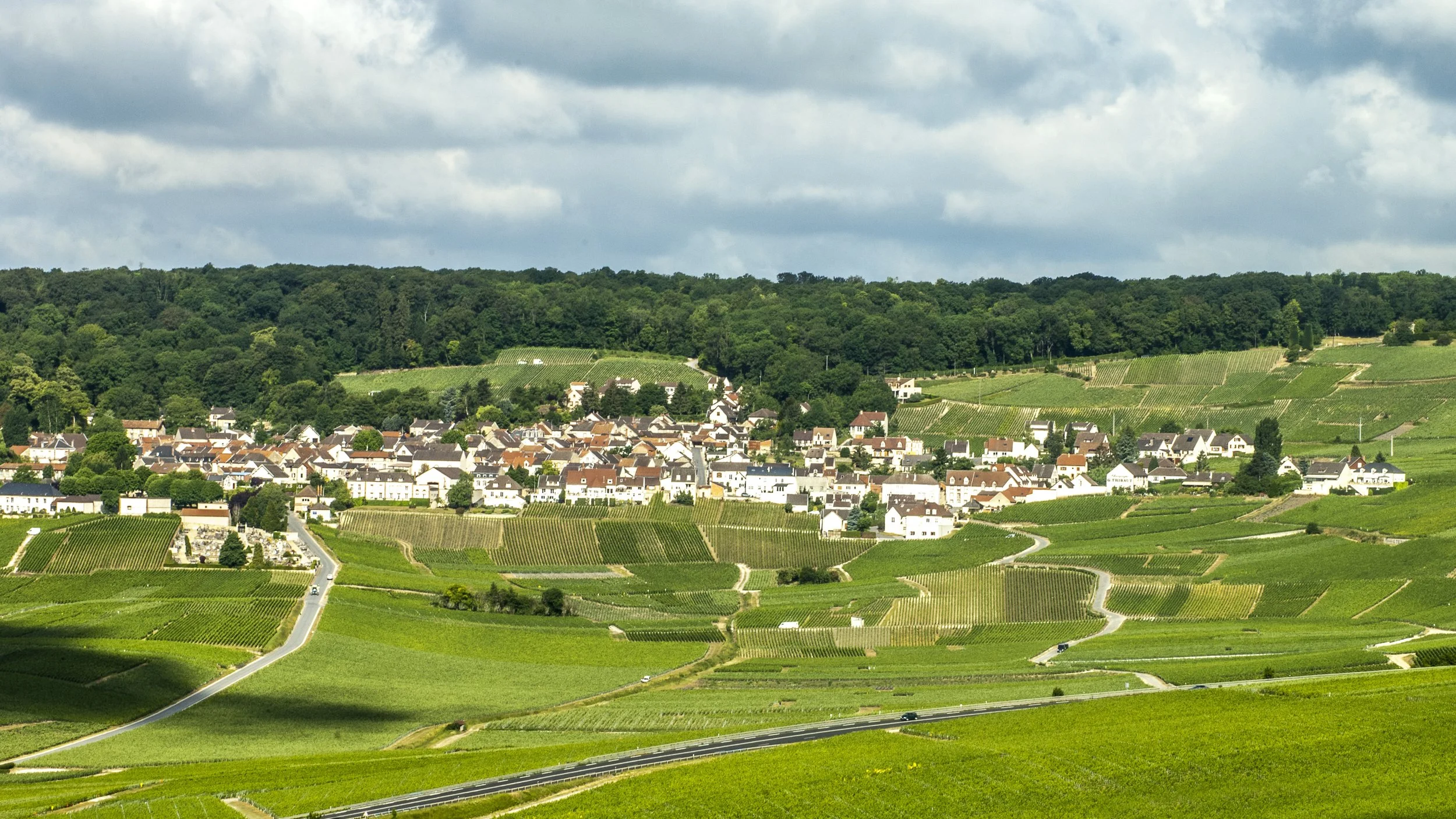 20110527-MKB_0188_1451-ilovechampagne.fr-hautvillers.jpg