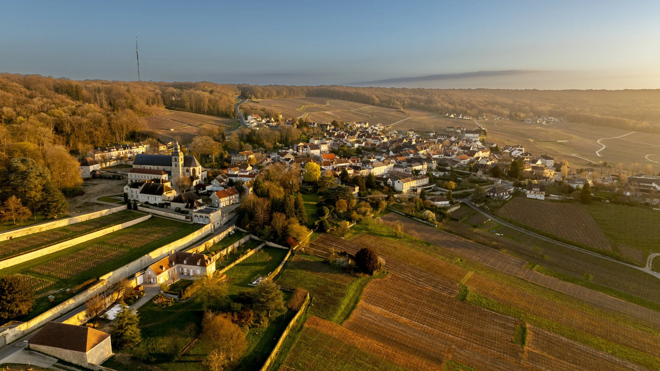 20250331-MIKA_BOUDOT-DJI_0283.jpg