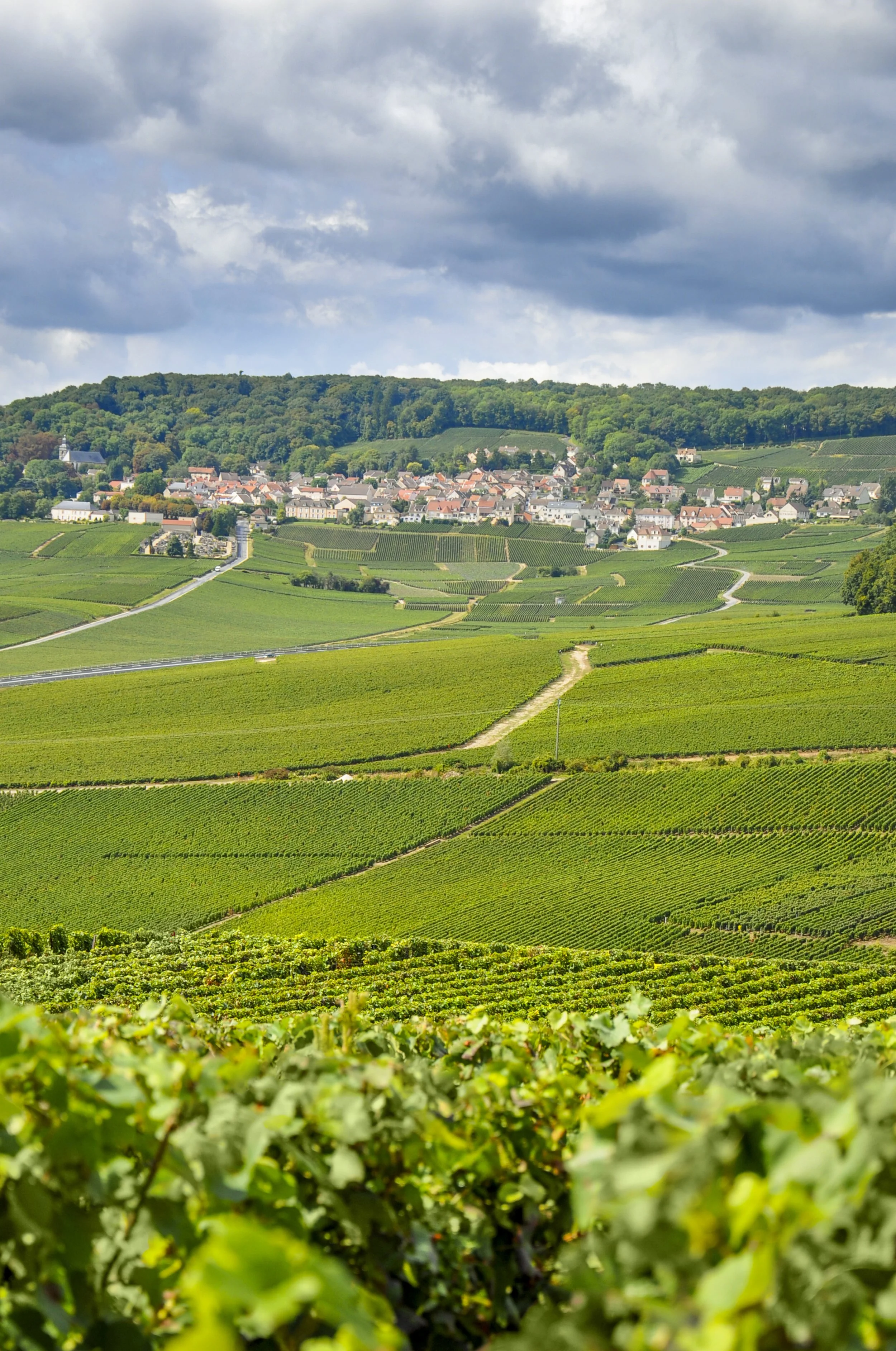 20090904-MKBDSC_0019-ilovechampagne.fr-hautvillers.jpg