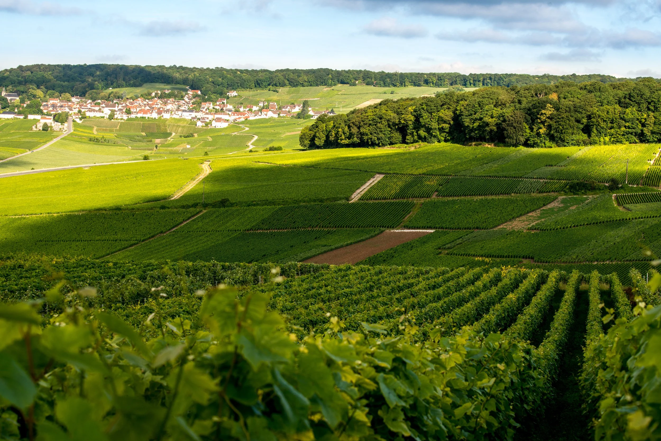 20160709_MKB_1161-ilovechampagne-hautvillers.jpg