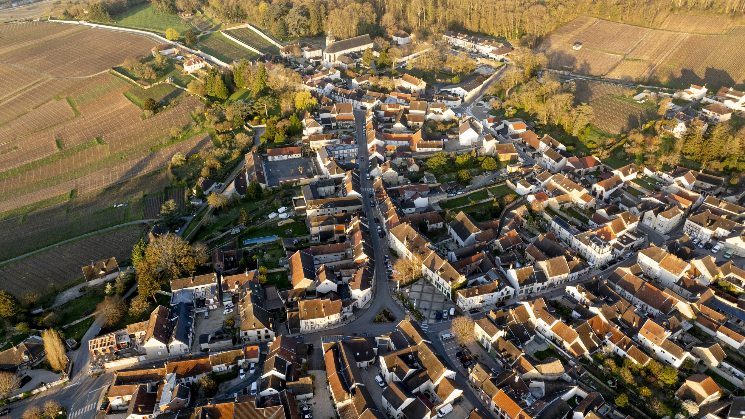 20250331-MIKA_BOUDOT-DJI_0289.jpg