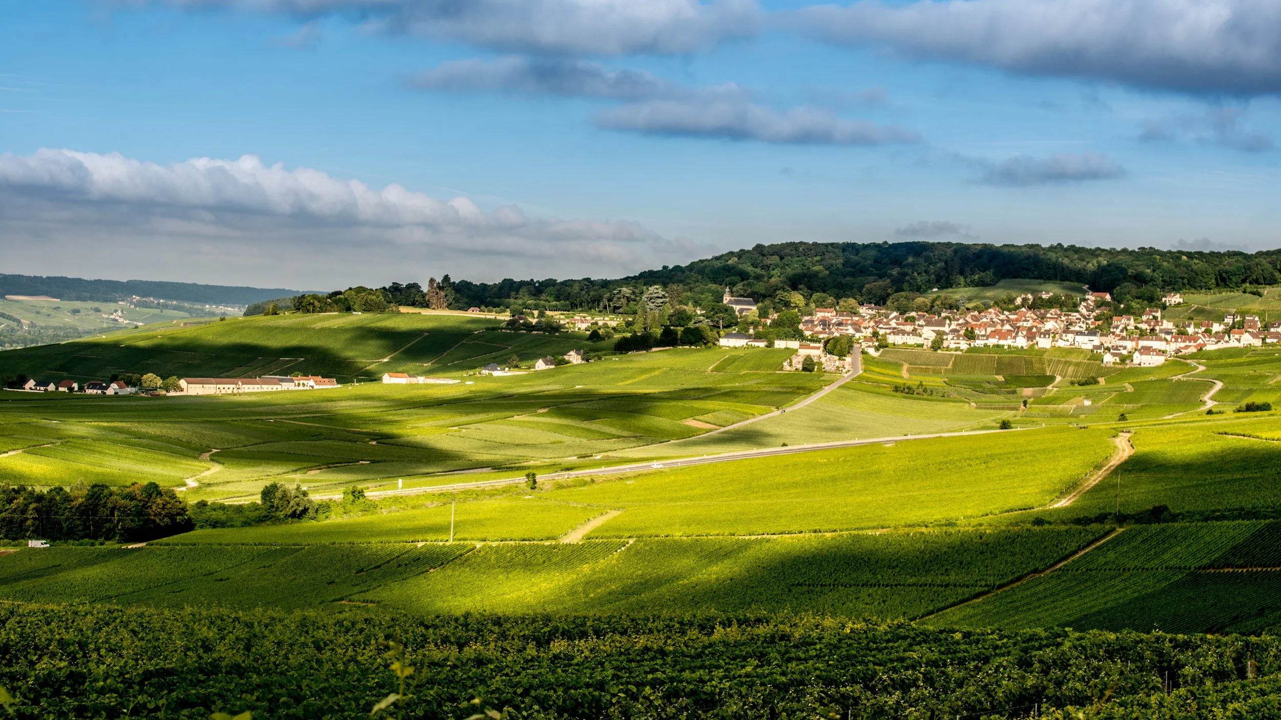 20160709_MKB_1166-ilovechampagne-hautvillers.jpg