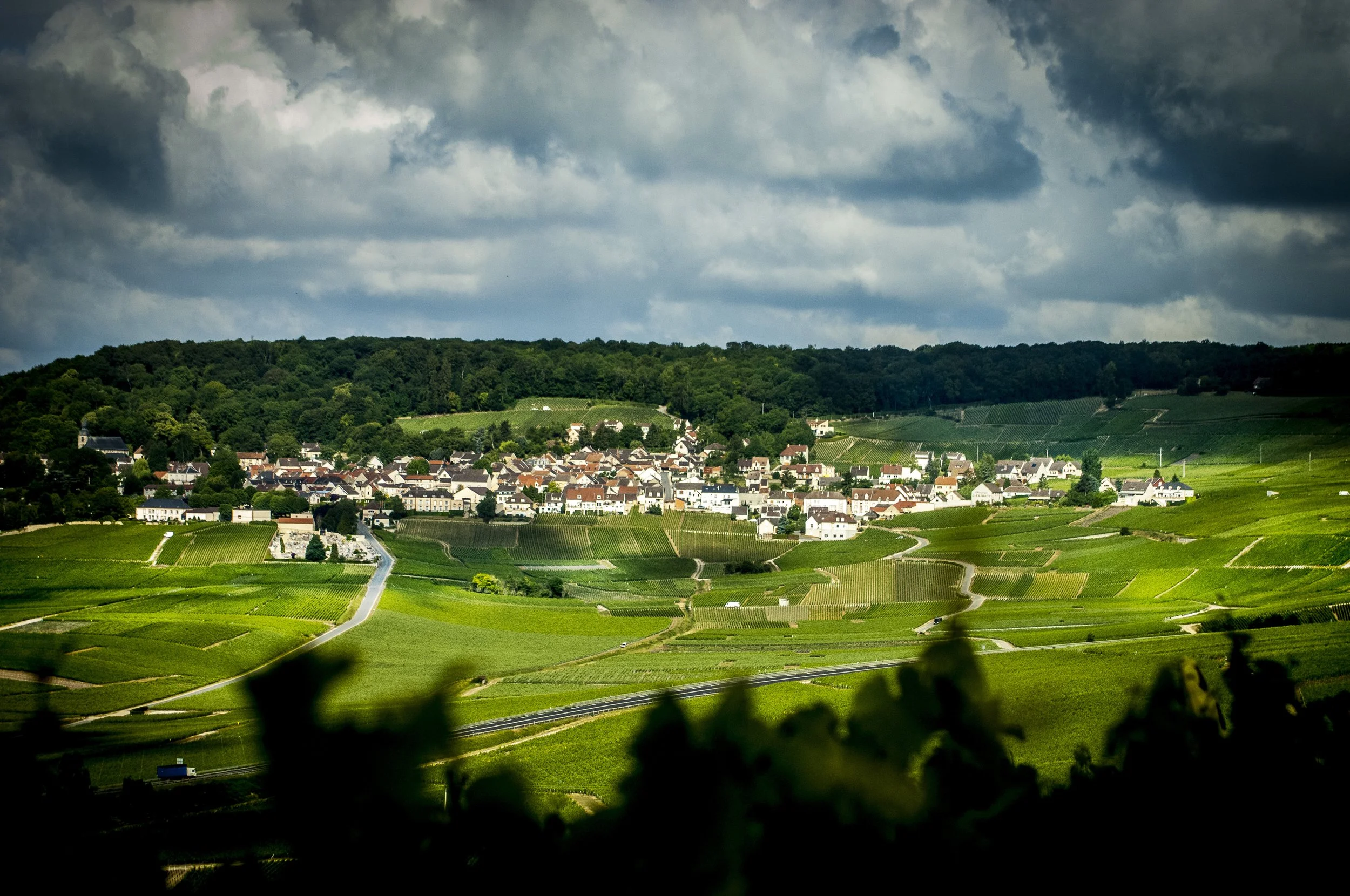 20110527-MKB_0202_1465-ilovechampagne.fr-hautvillers.jpg