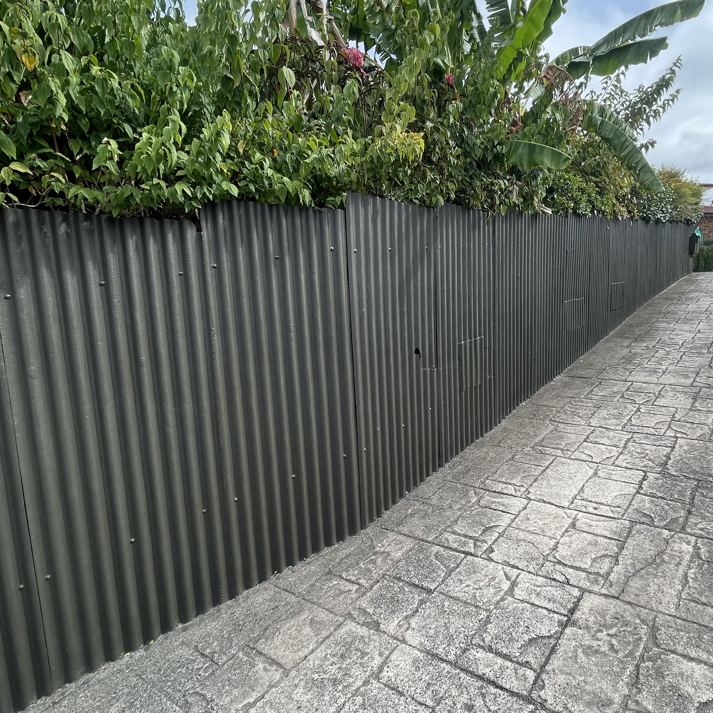 Long freshly painted fence with greenery peeking over the top and a clean, well-maintained driveway running along the bottom.