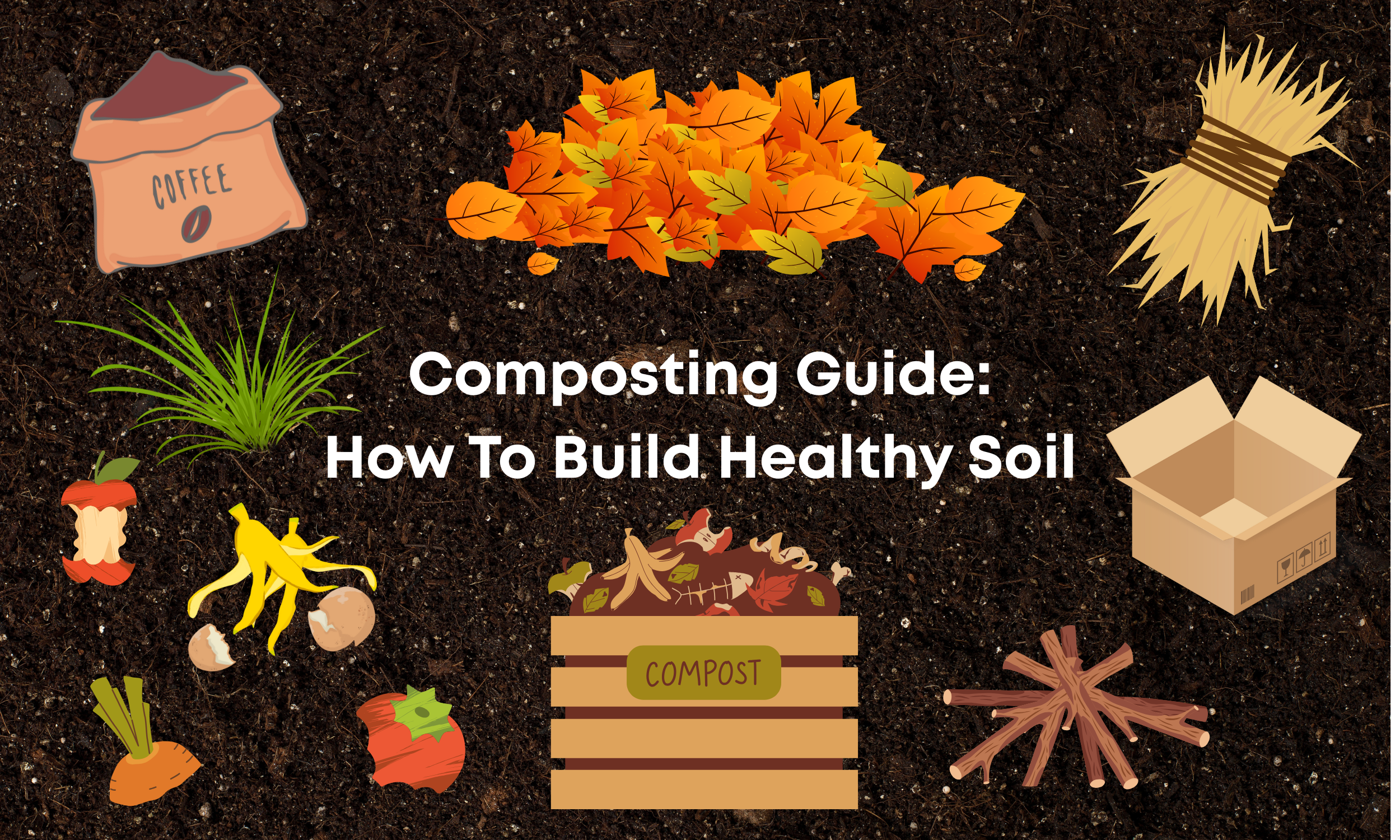 Composting Guide: How To Build Healthy Soil