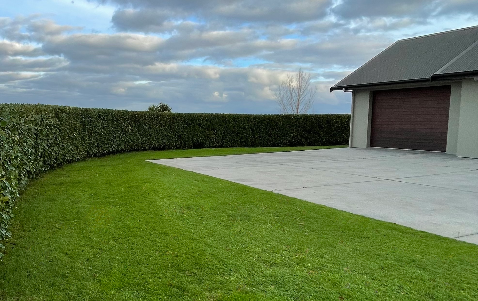 Freshly, super straight hedge trim with visible grass, driveway and corner of a house.