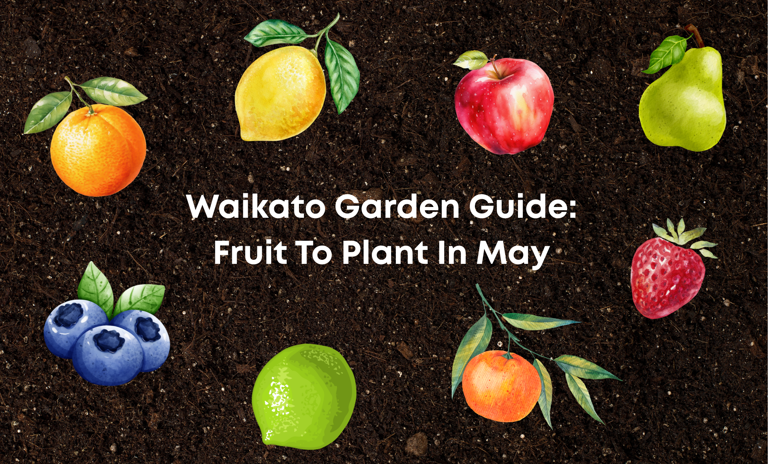 Waikato Garden Guide: Fruit To Plant In May