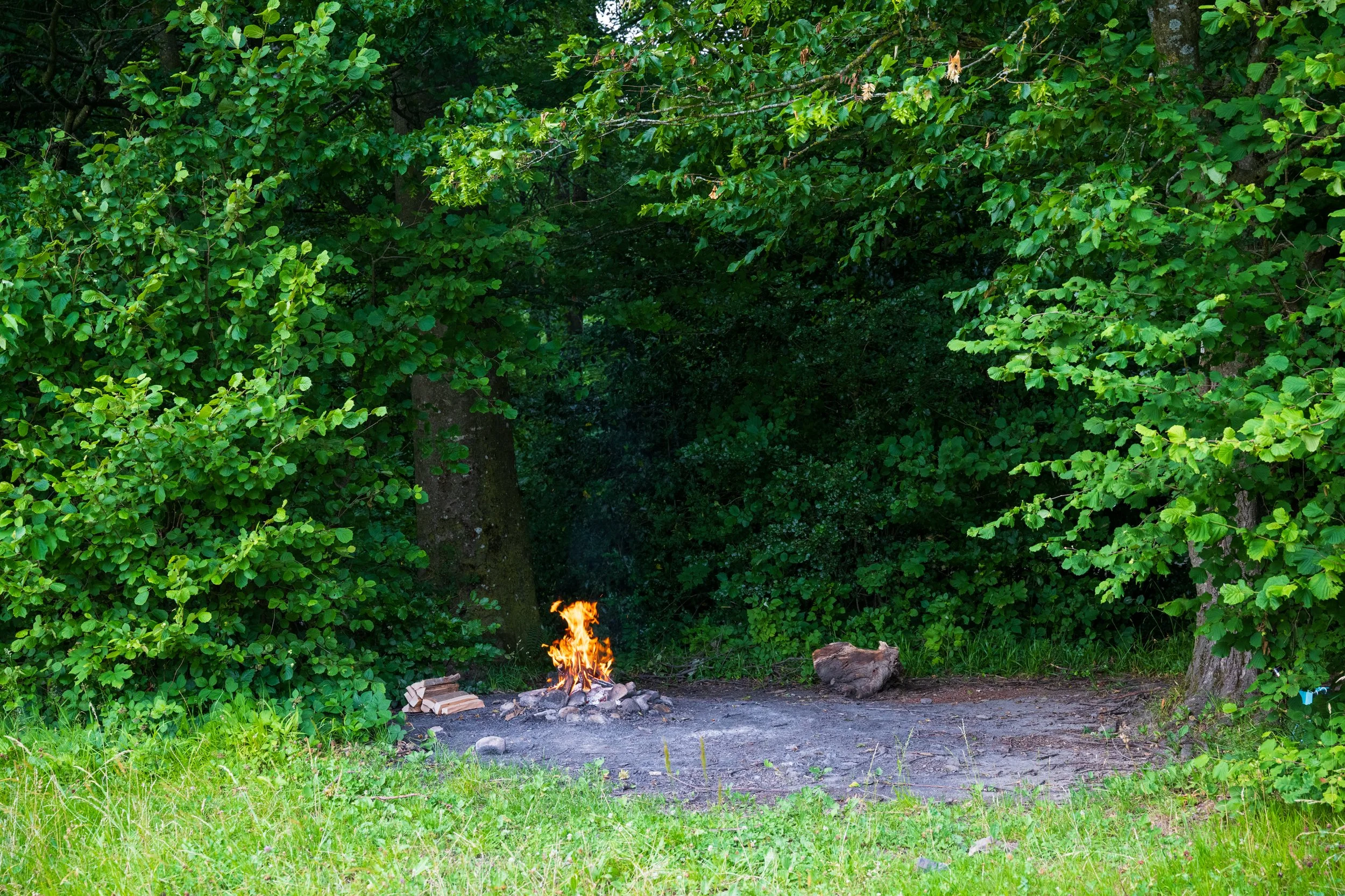 _DSC8562.jpg