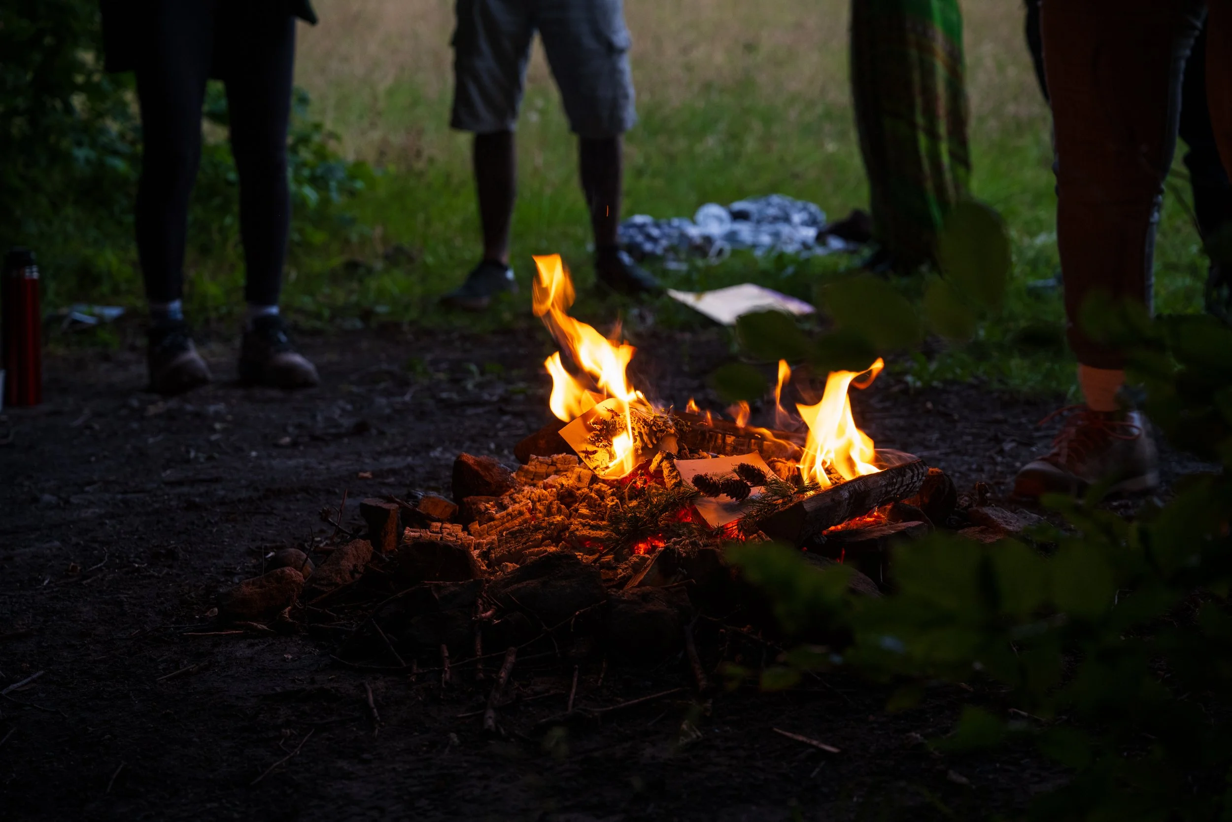 _DSC8730.jpg