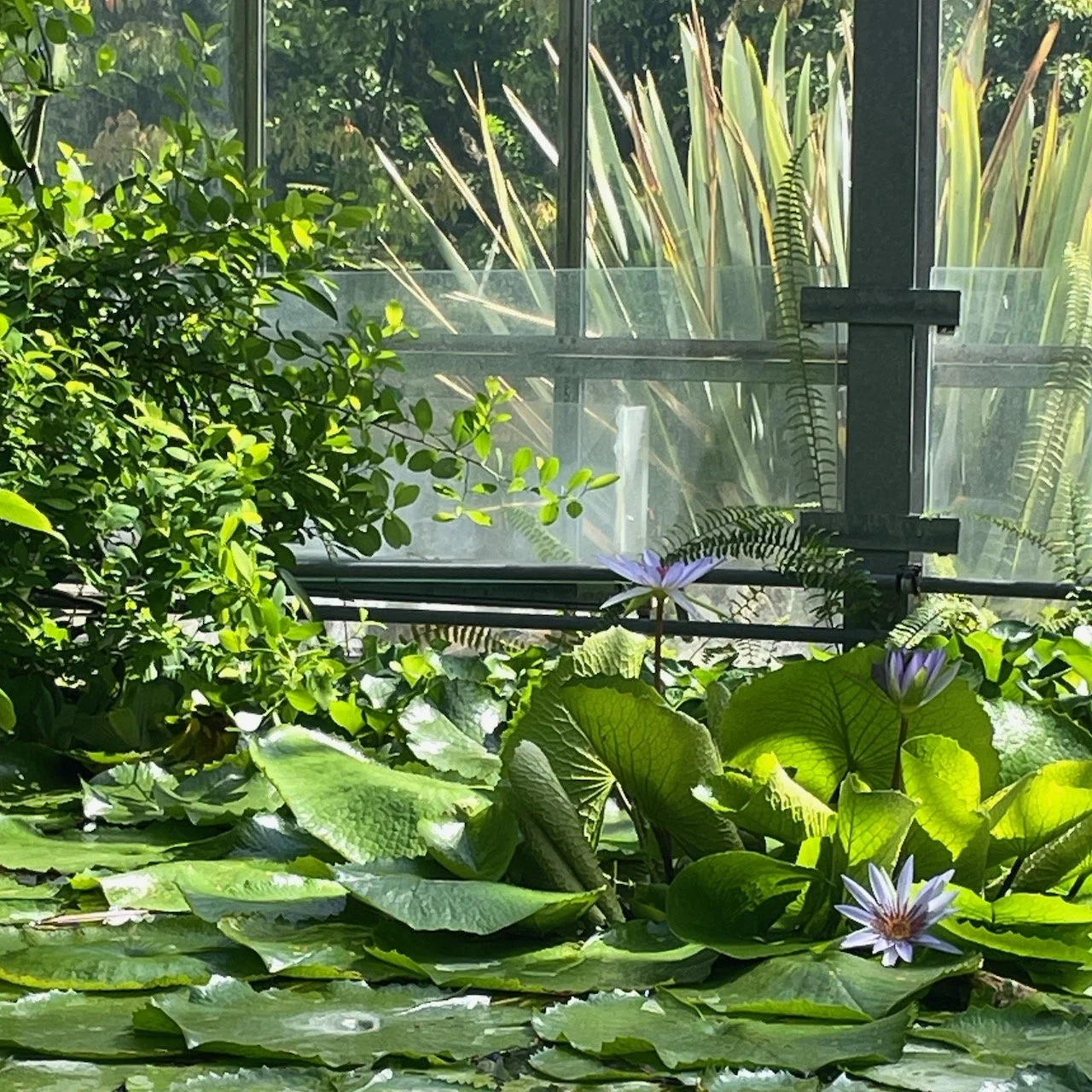 Inspiration Botanischer Garten