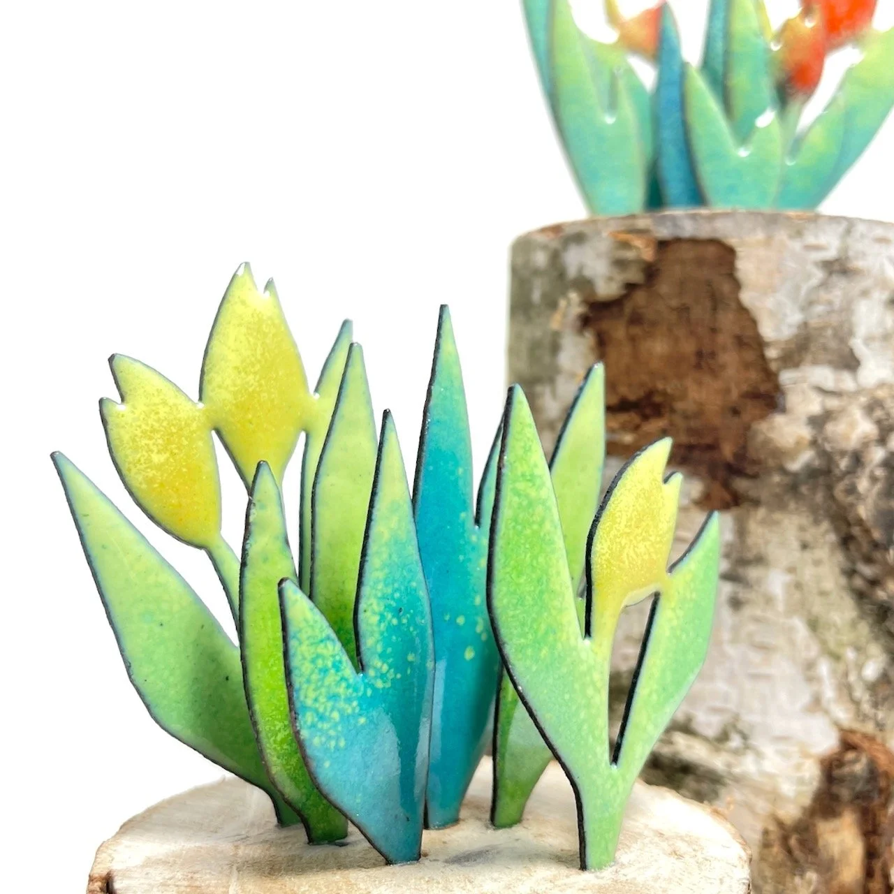 Flora & kleines Gartenglück