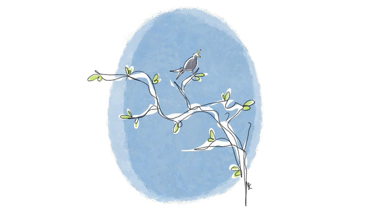 Auf einem Zweig mit einigen grünen Blättchen sitzt eine Amsel und singt aus voller Kehle. Zeichnung von Meike Kröger