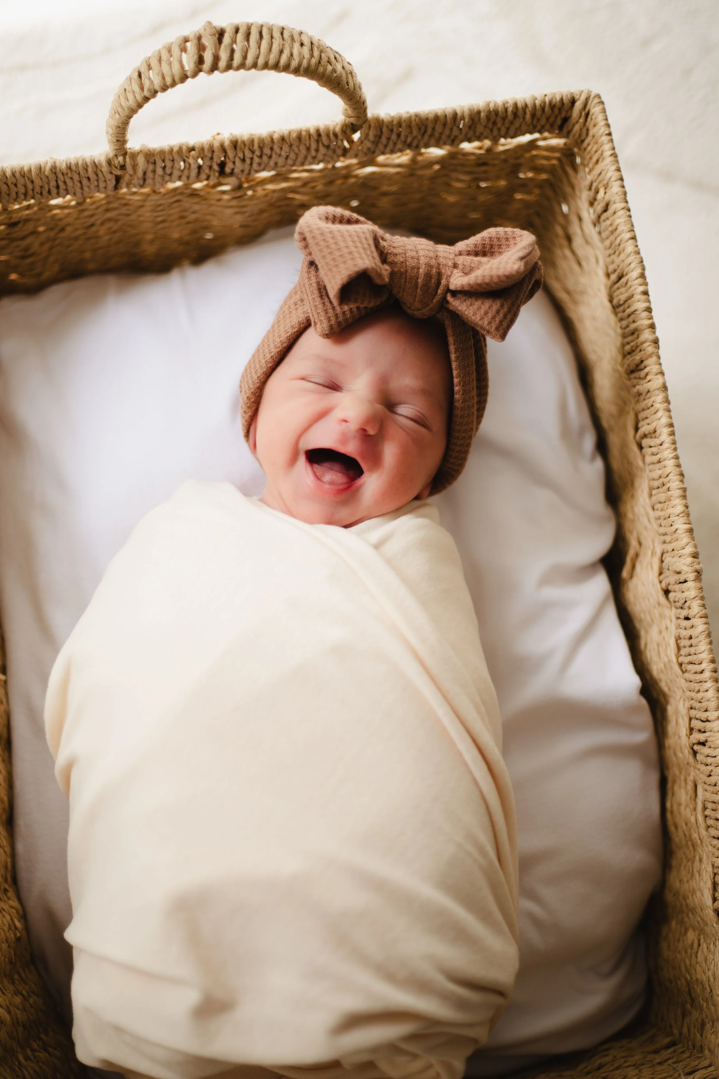 newborn basket photo