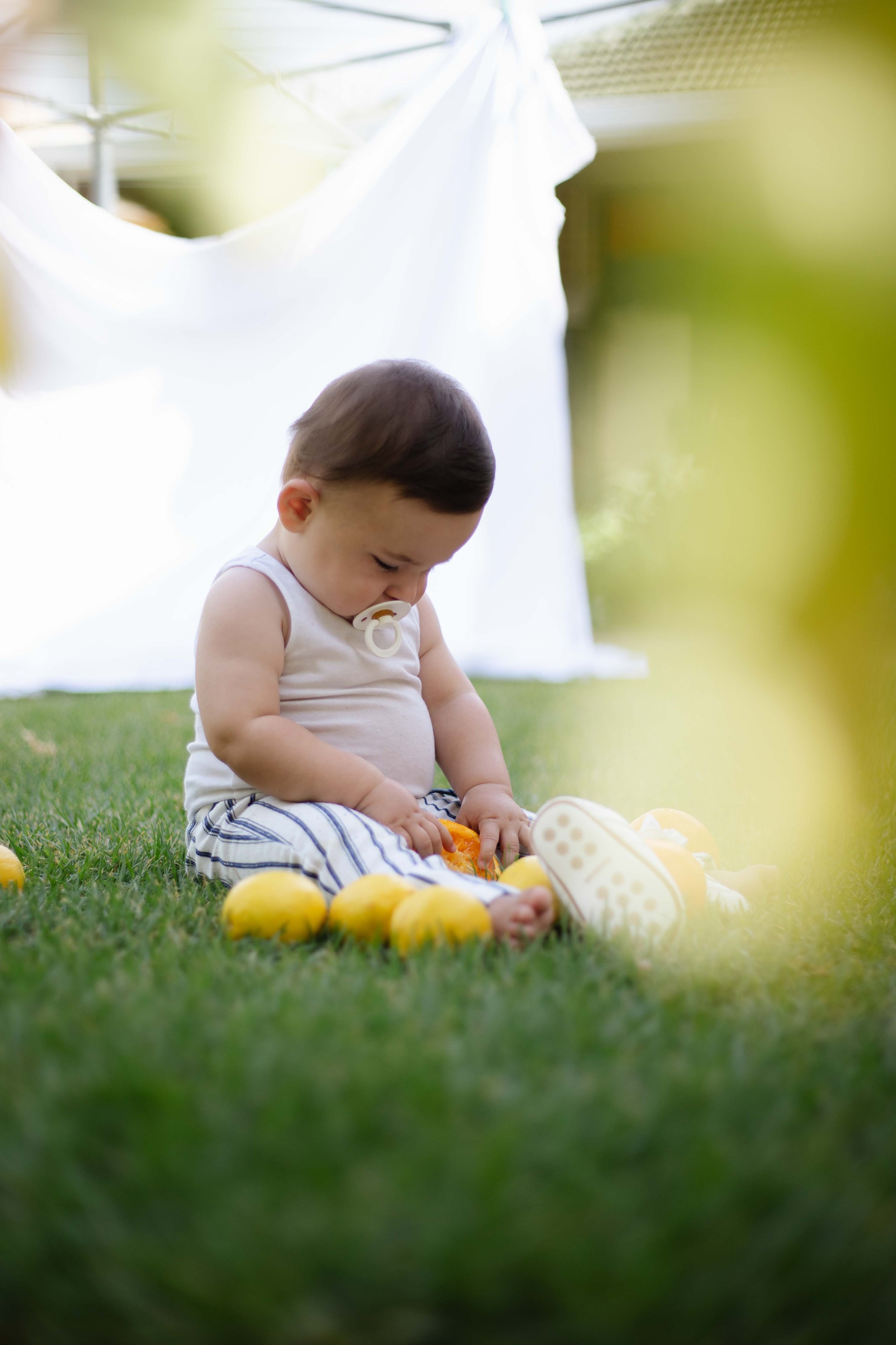 toddler-photography-south-australia-adelaide.jpg