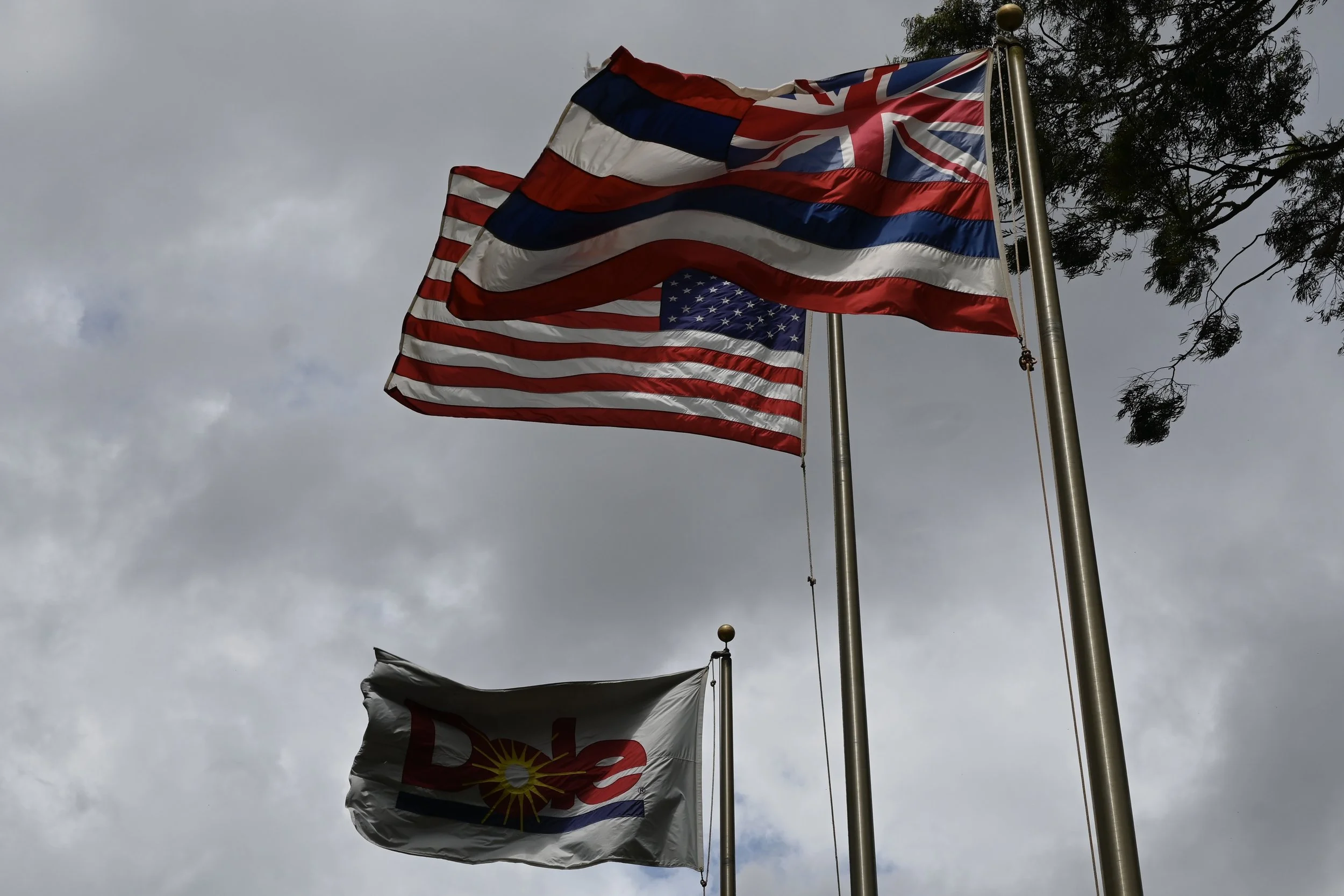 Oahu, Hawaii -  (24).JPG