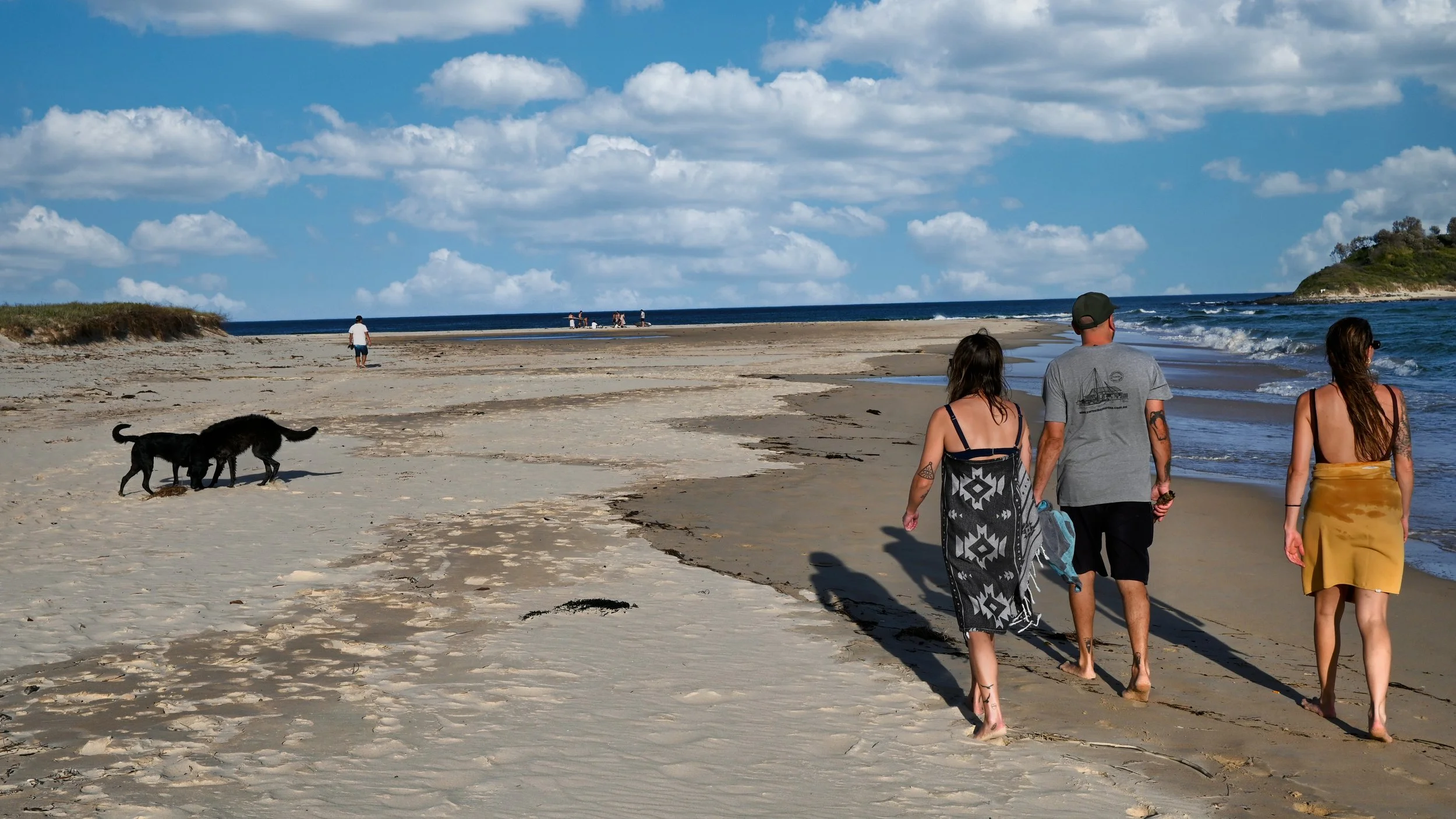 People walking along a sandy beach with waves reaching the shore, a dog playing in the sand, and an ocean view under a partly cloudy sky.