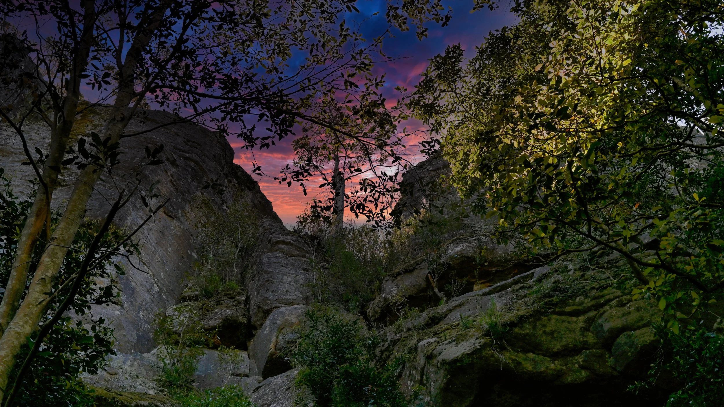 A scenic view of rock formations surrounded by trees and bushes at sunset, with a vibrant purple, pink, and orange sky visible through the branches.