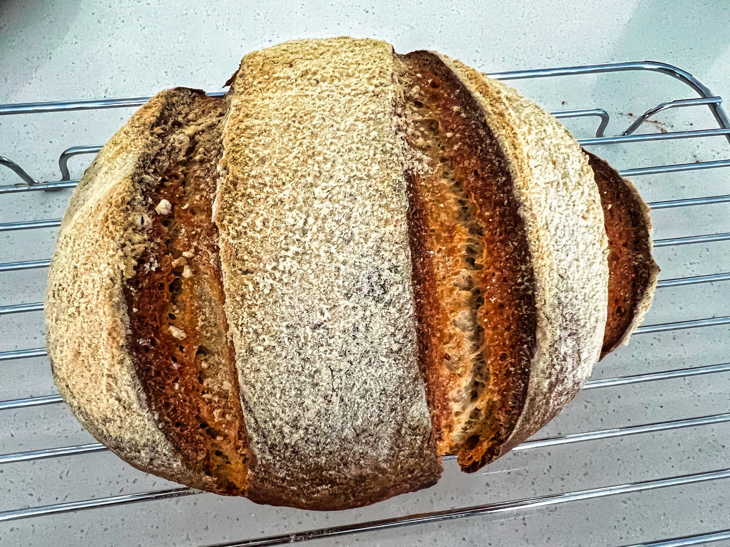 Pane Valle Maggia1.JPG