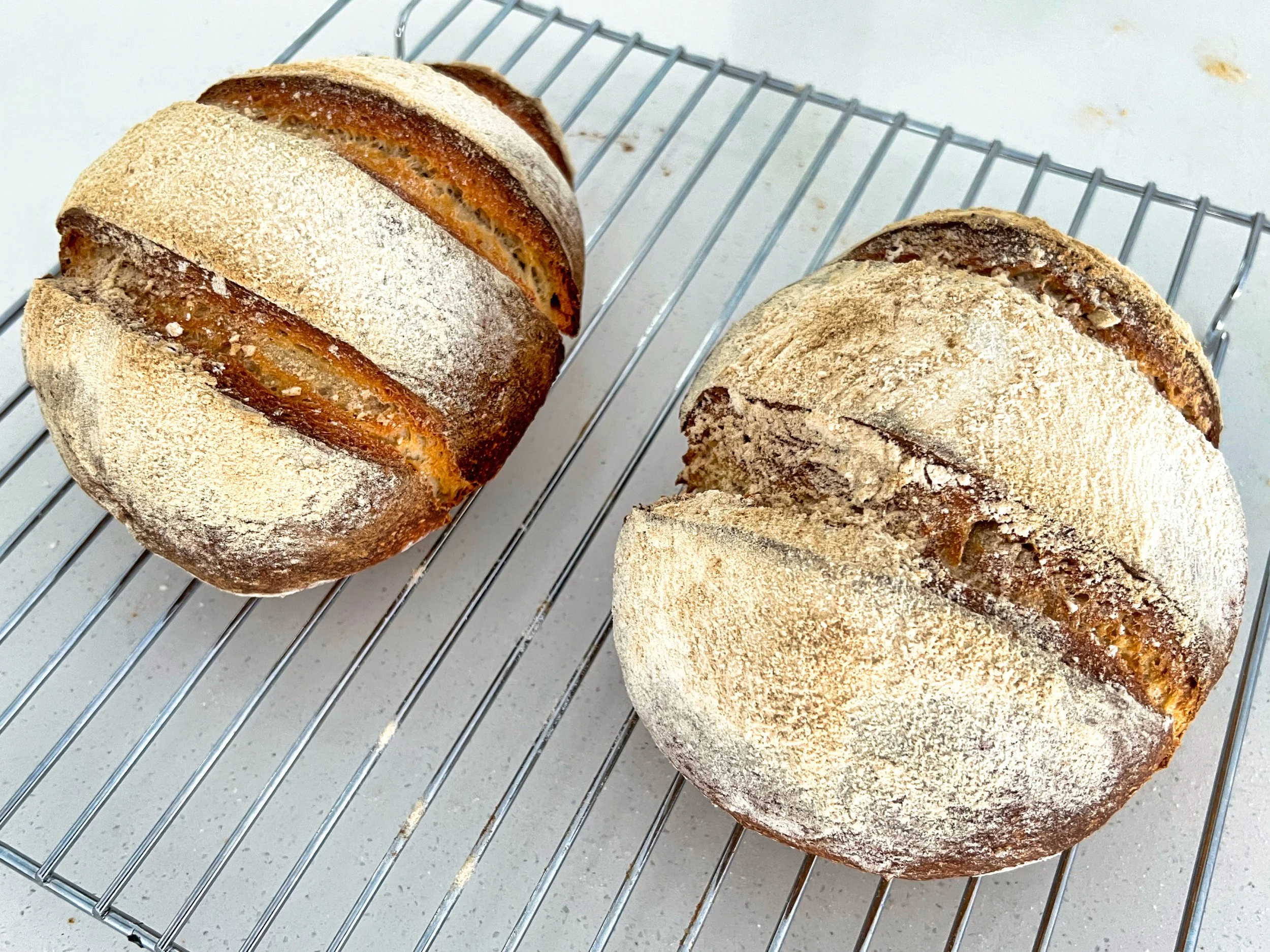 Pane Valle Maggia.JPG