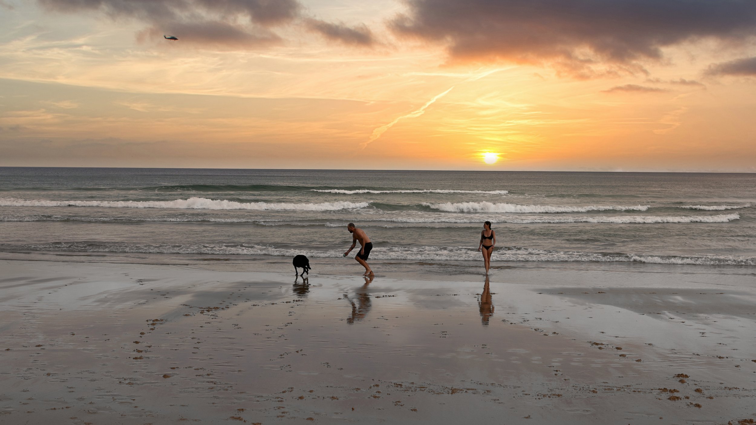 People and a dog on a beach at sunset with a plane flying in the sky