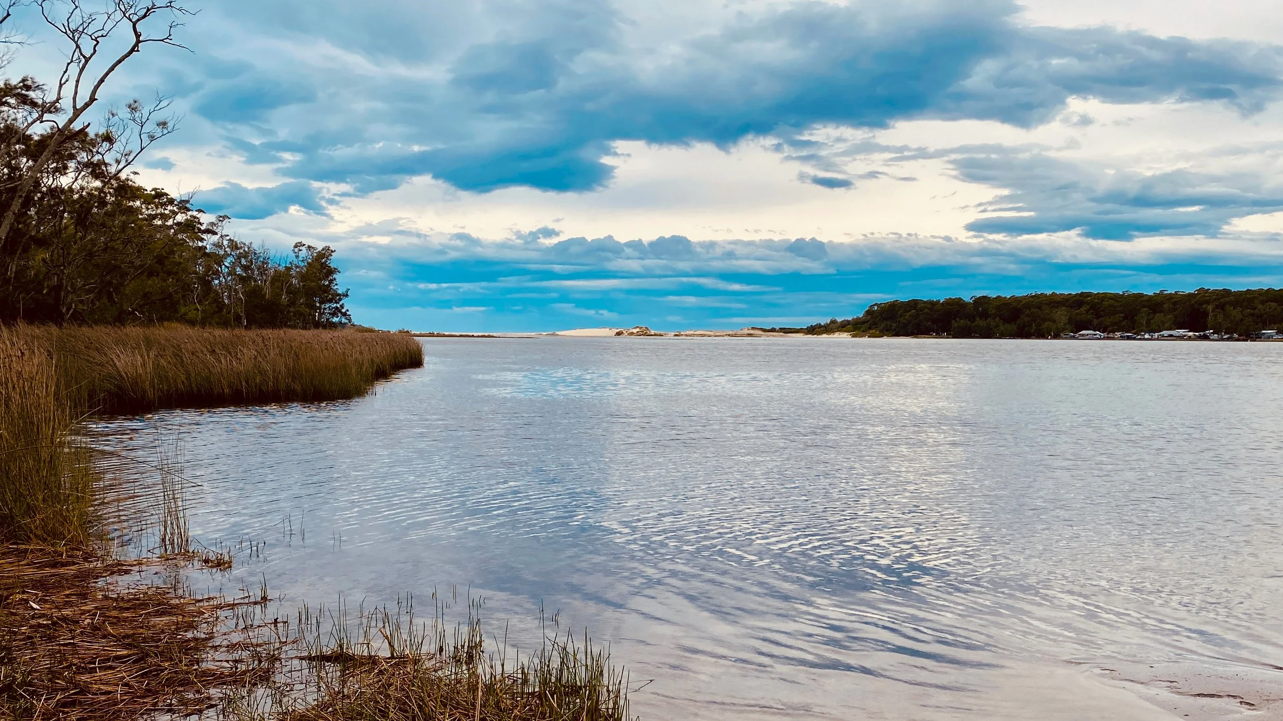 A peaceful river scene with calm waters reflecting the cloudy sky above, bordered by tall grasses and trees on the left and a distant shoreline with more trees and buildings across the water.