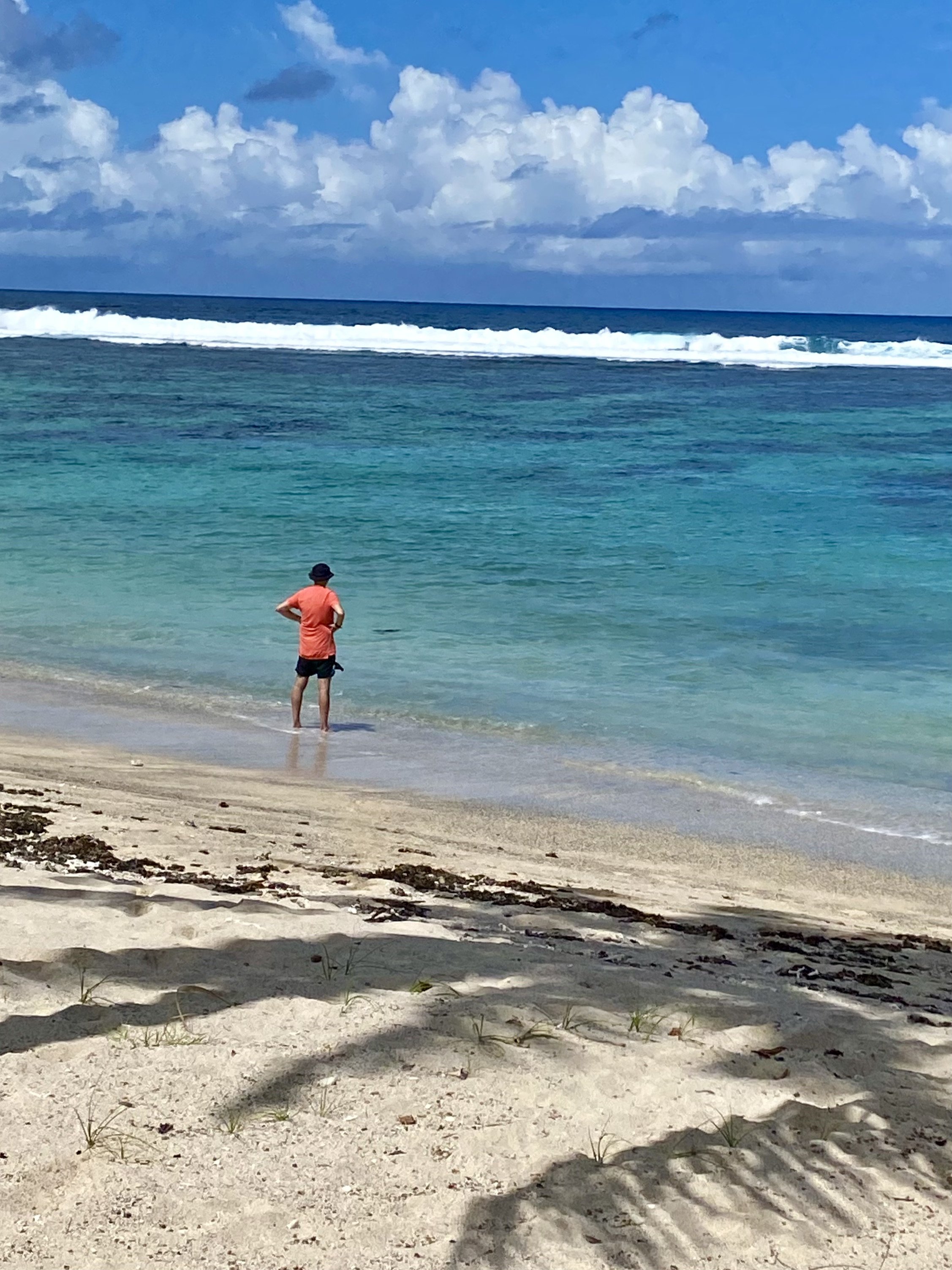 Apia, Samoa - (6).jpeg