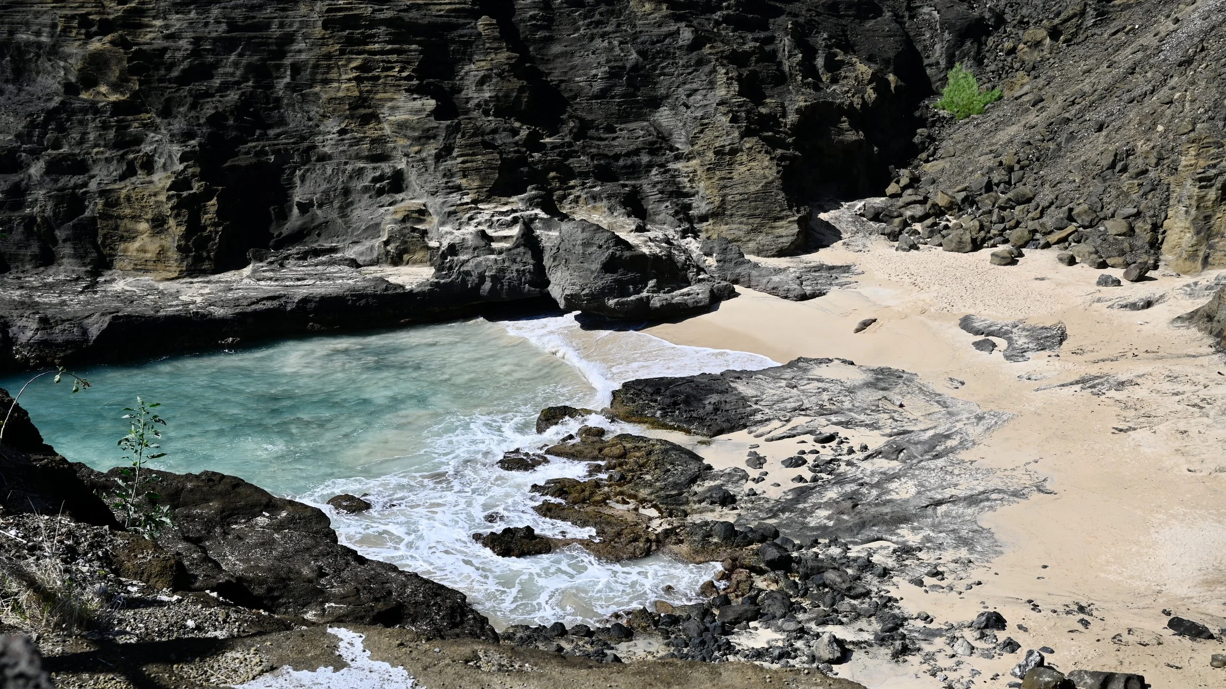 Oahu, Hawaii -  (35).JPG