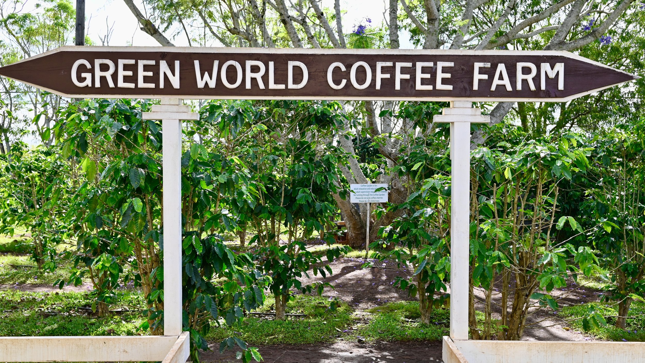 Oahu, Hawaii -  (16).JPG