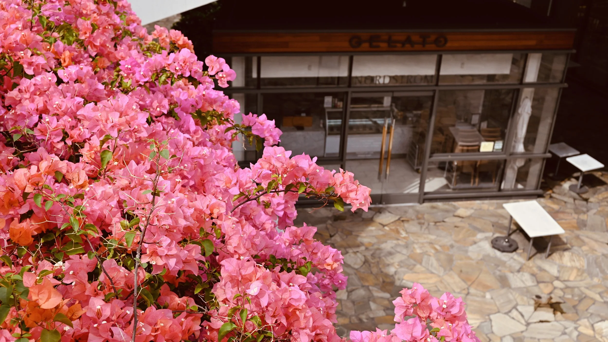 Oahu, Hawaii -  (6).jpg