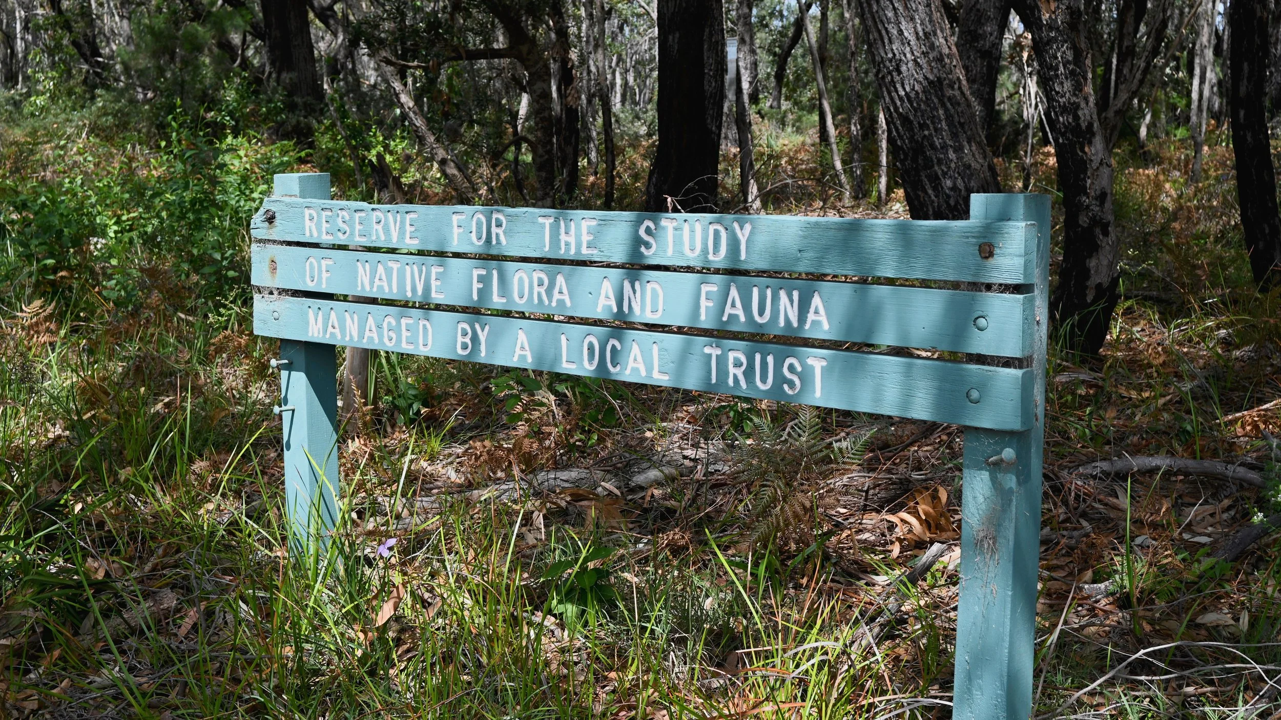 Blue wooden sign in a forest reserve stating, "Reserve for the study of native flora and fauna managed by a local trust."
