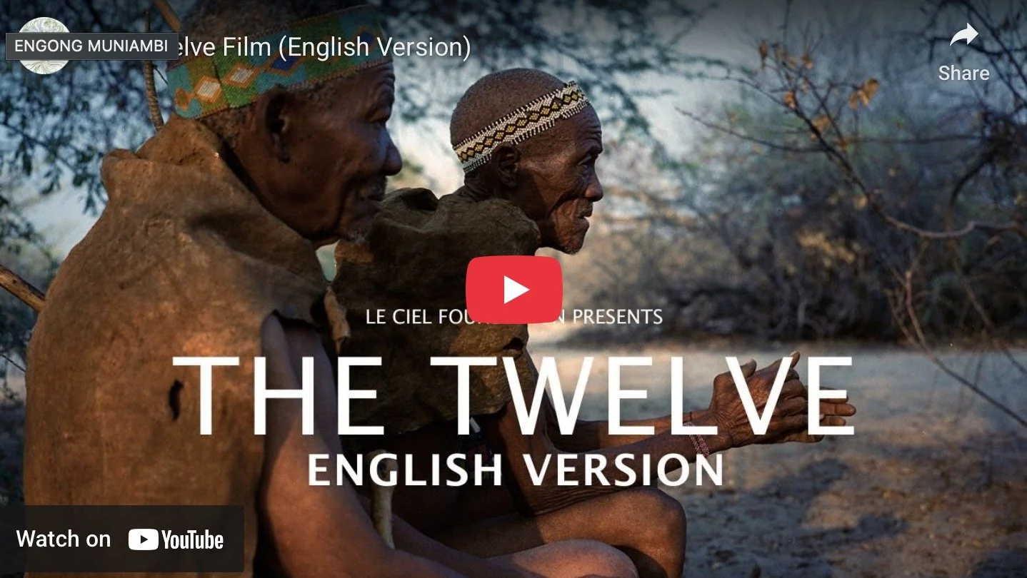 The Twelve (documentary)