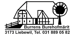 medium - bearbeitet.png