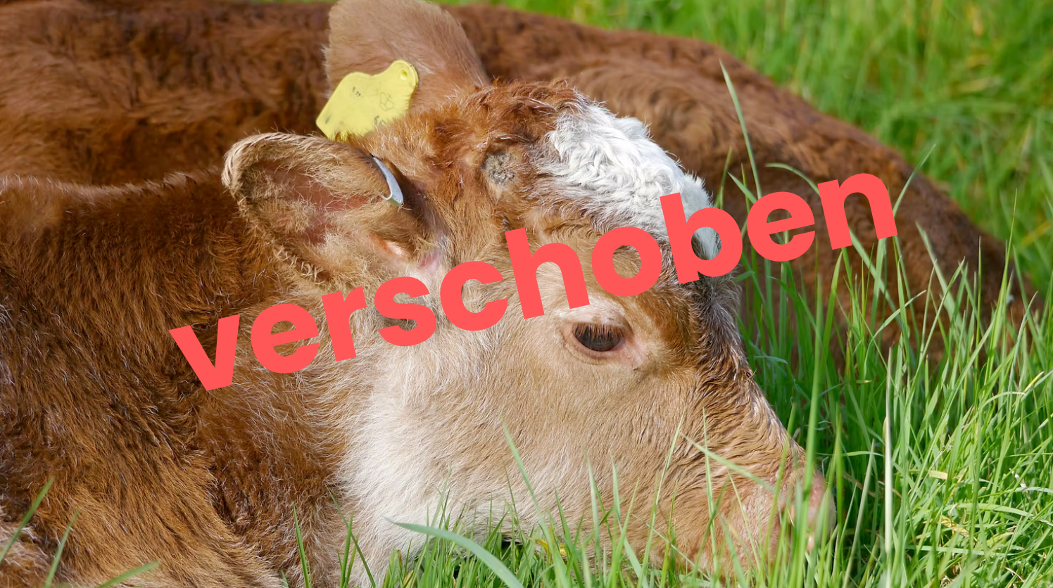 Nachhaltige Fleischkonsumpraktiken, stressfreie Hoftötung und die Chancen für die regionale Wertschöpfung
