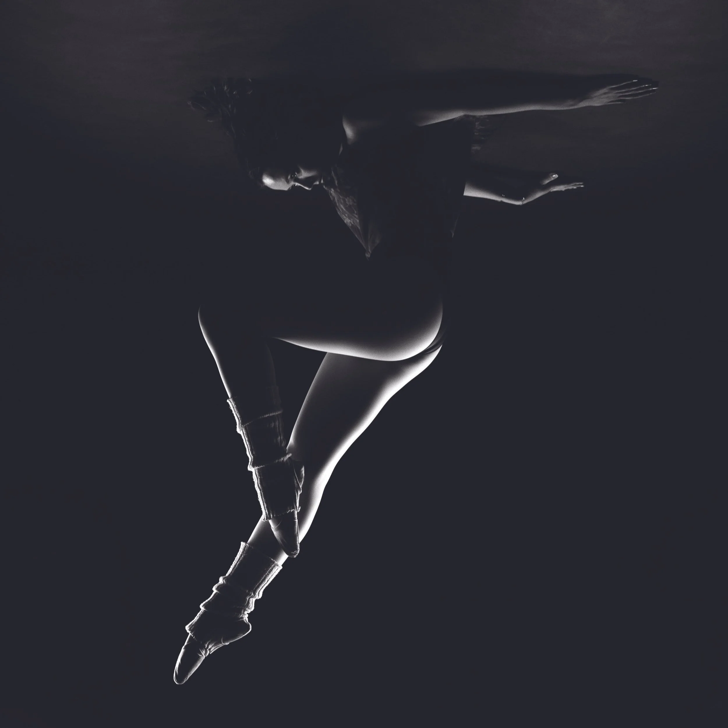 Tulle: The Body and Material