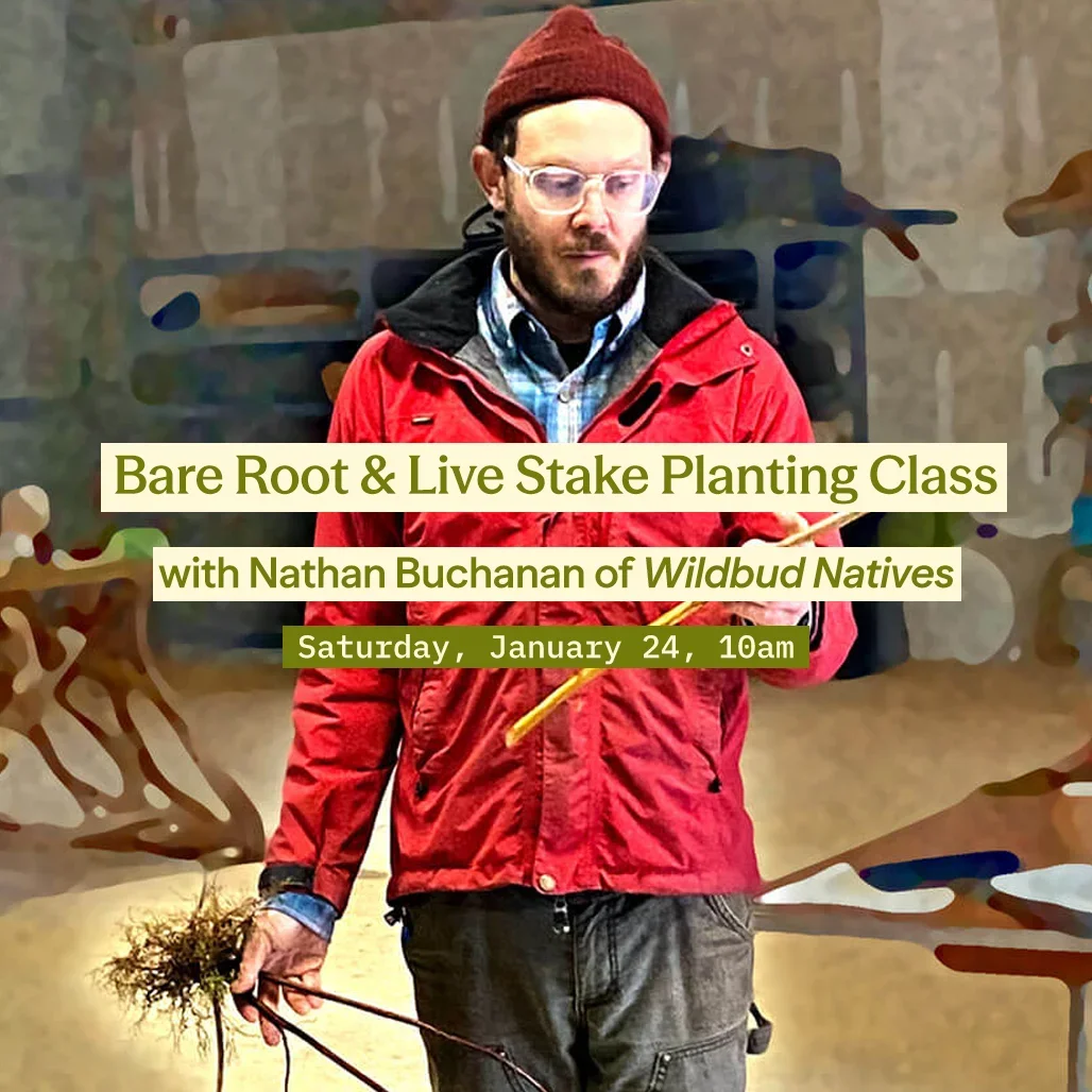 Live Stake and Bare Root Class