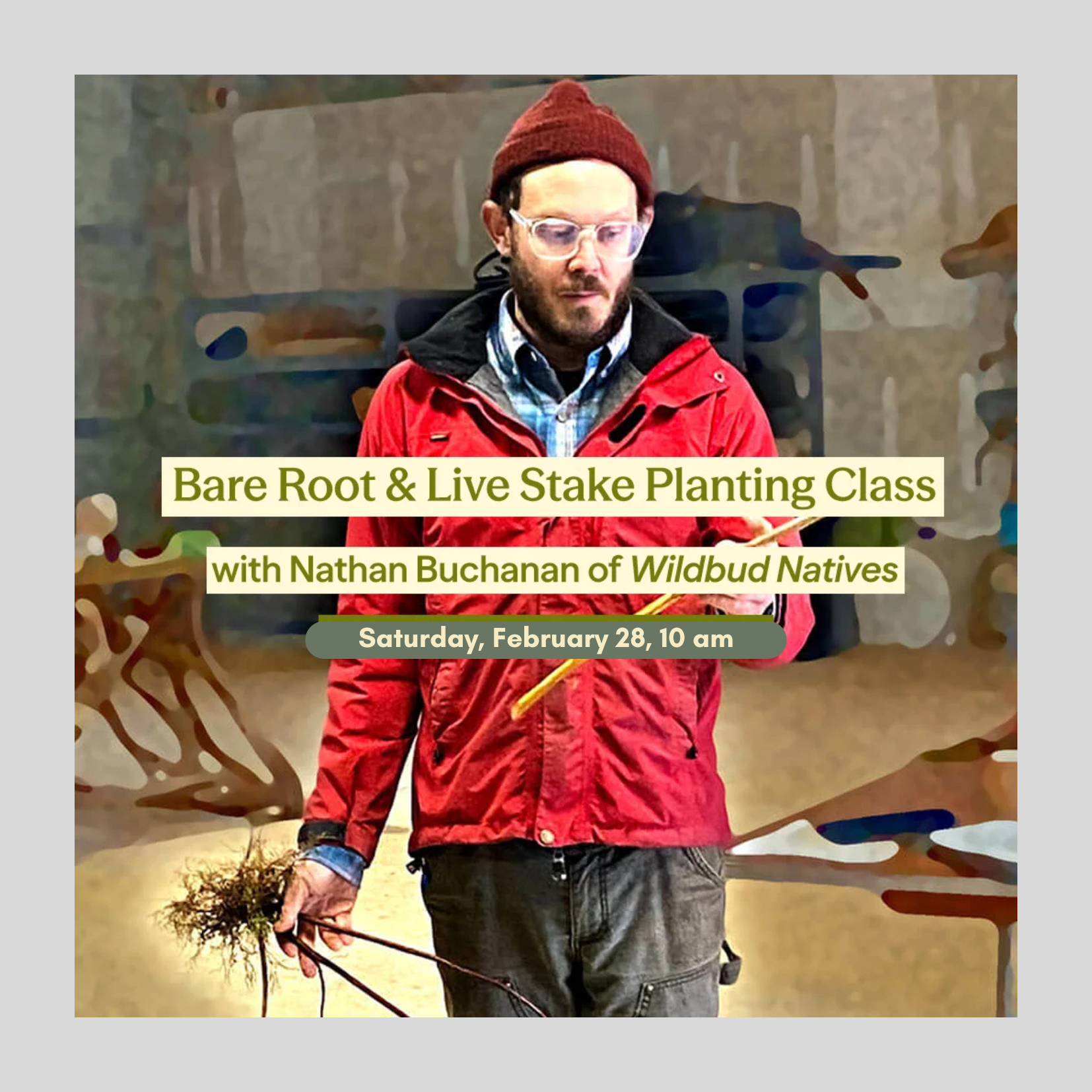Live Stake and Bare Root Class
