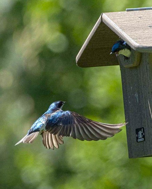 Photo Credit: Jeff Eichinger