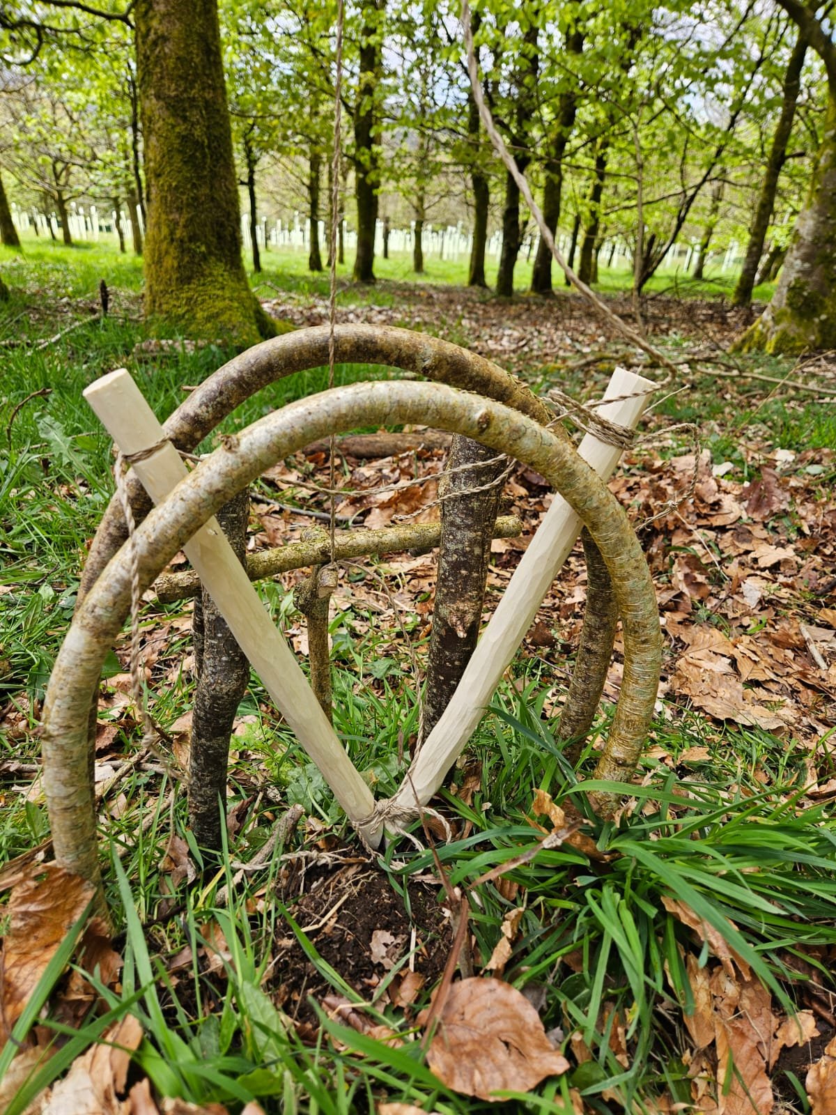 Mohave Scissor Trap.jpeg