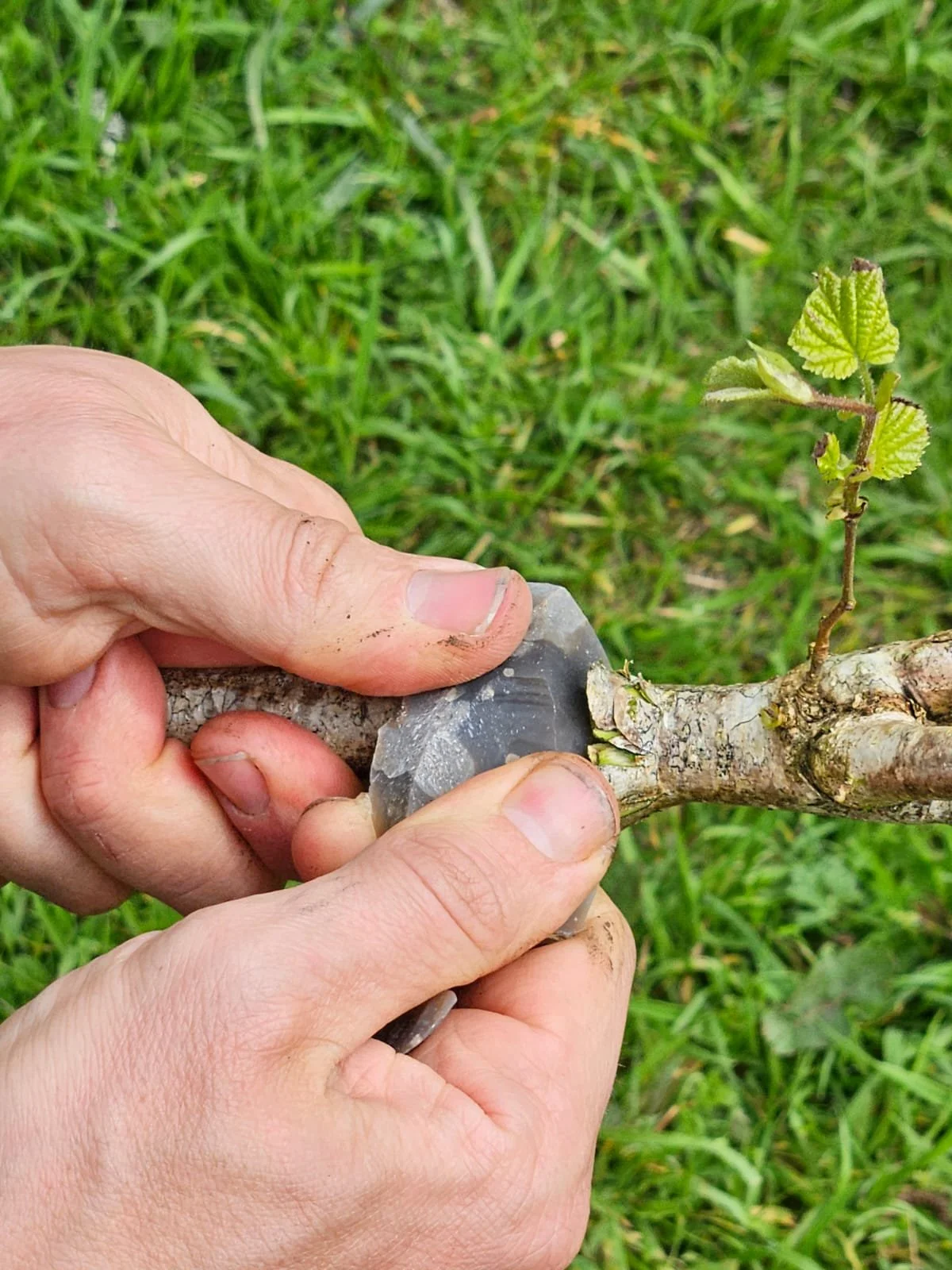 flint whittling.jpeg