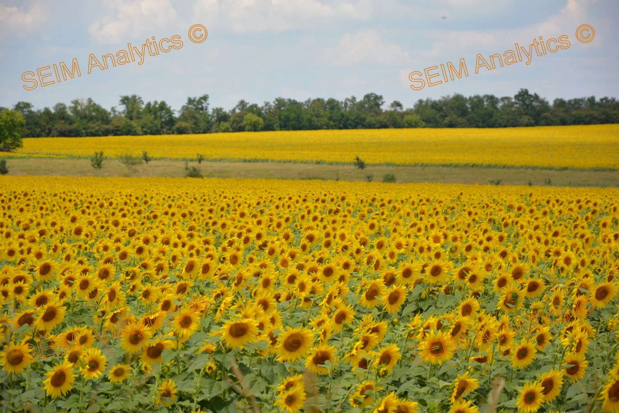 Marhanets Nikopol trip rural (171).JPG