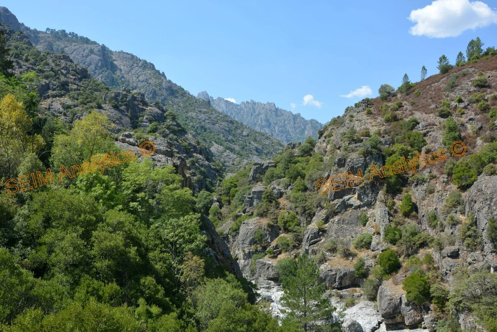 Tavignano gorge