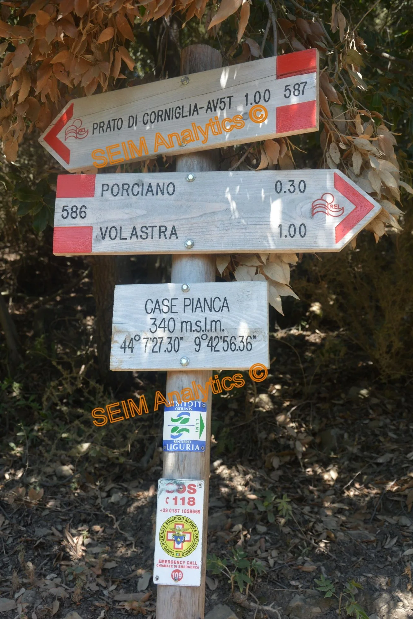 DSC_0402.JPG
