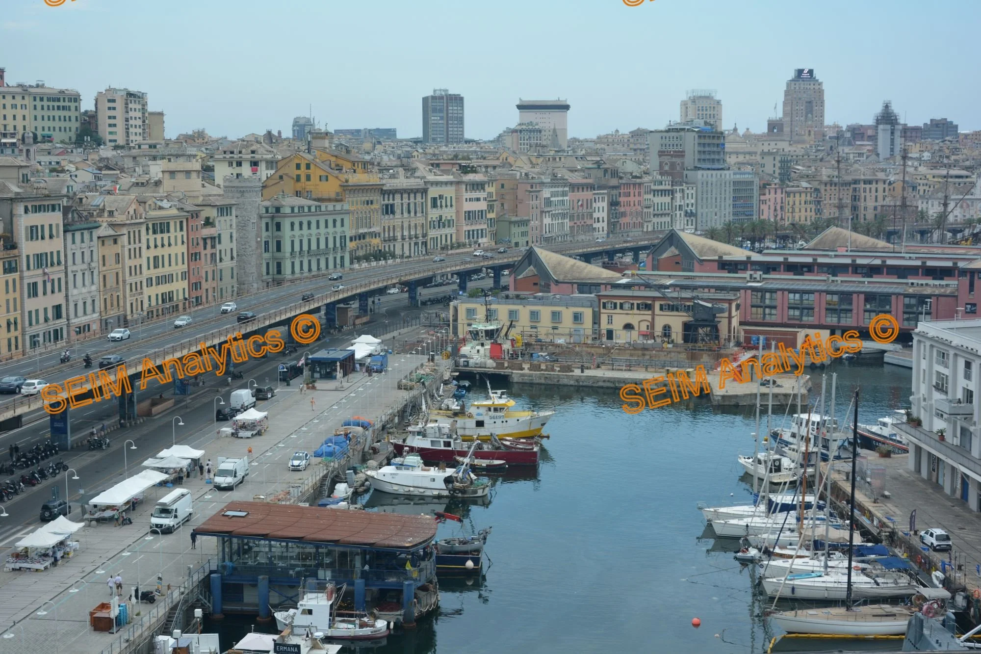 DSC_0593.JPG