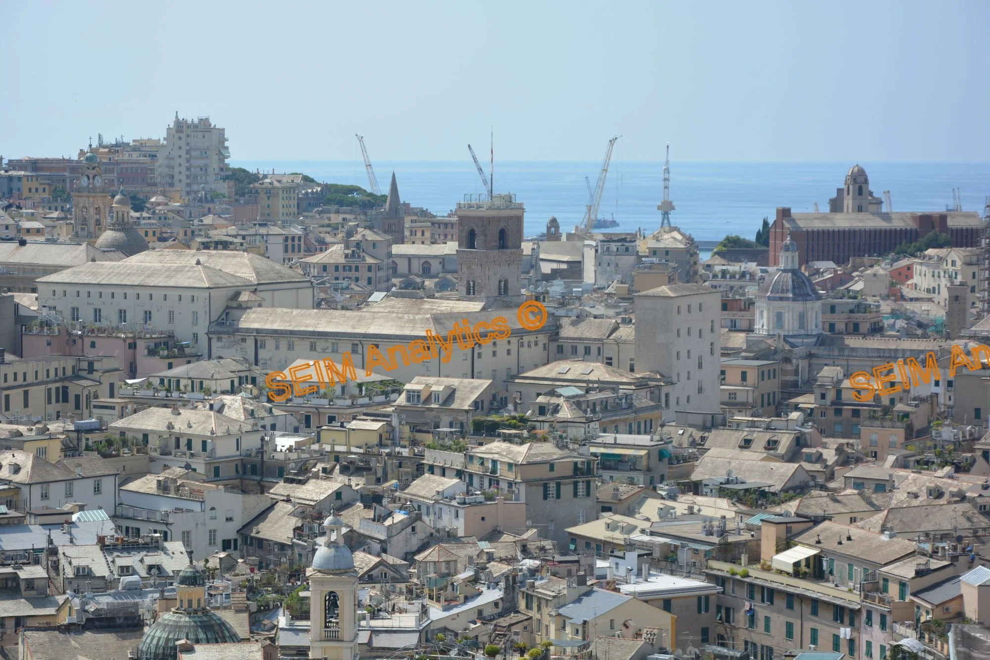 DSC_0711.JPG