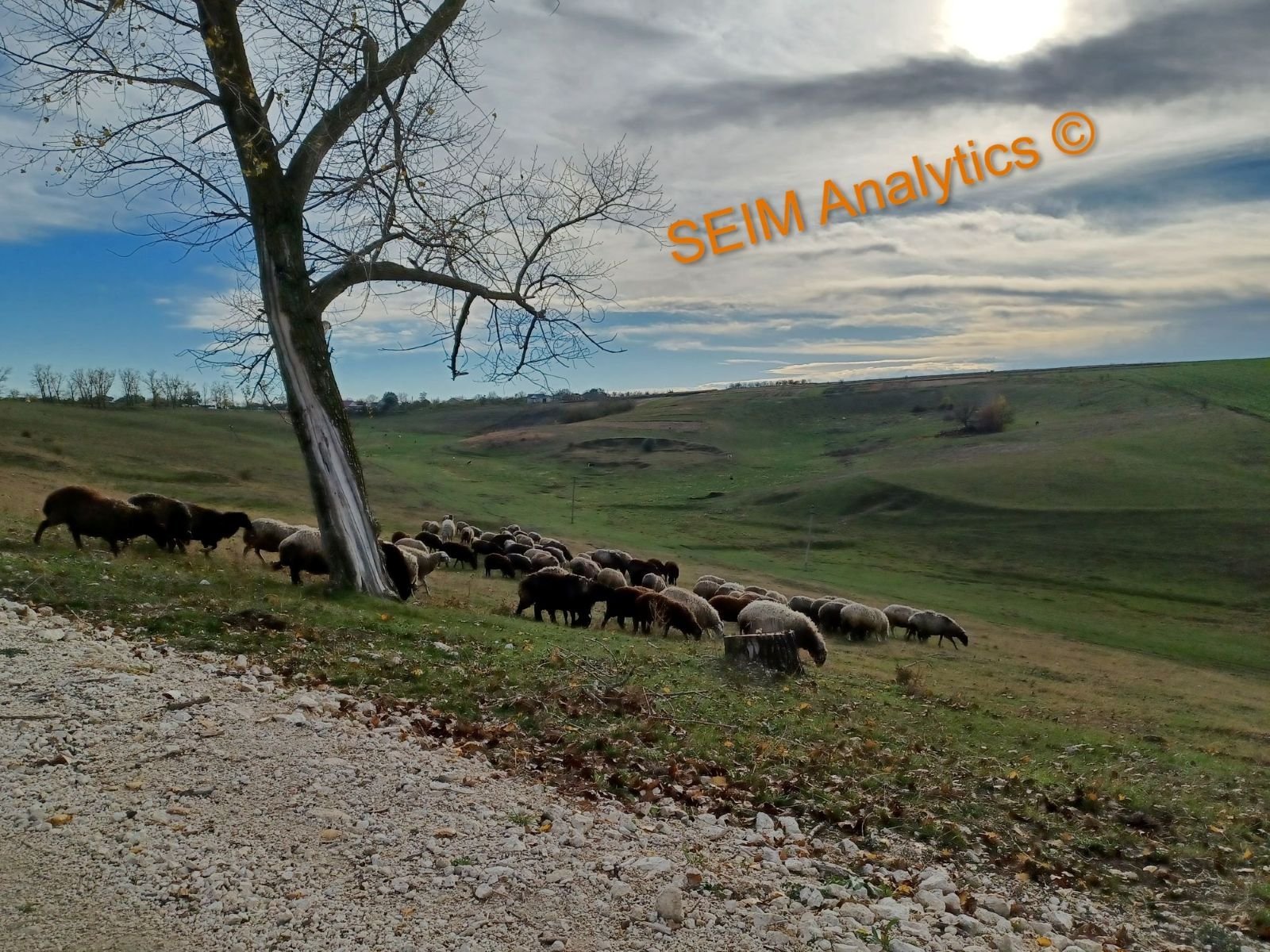 North Moldovan landscape, Riscani District
