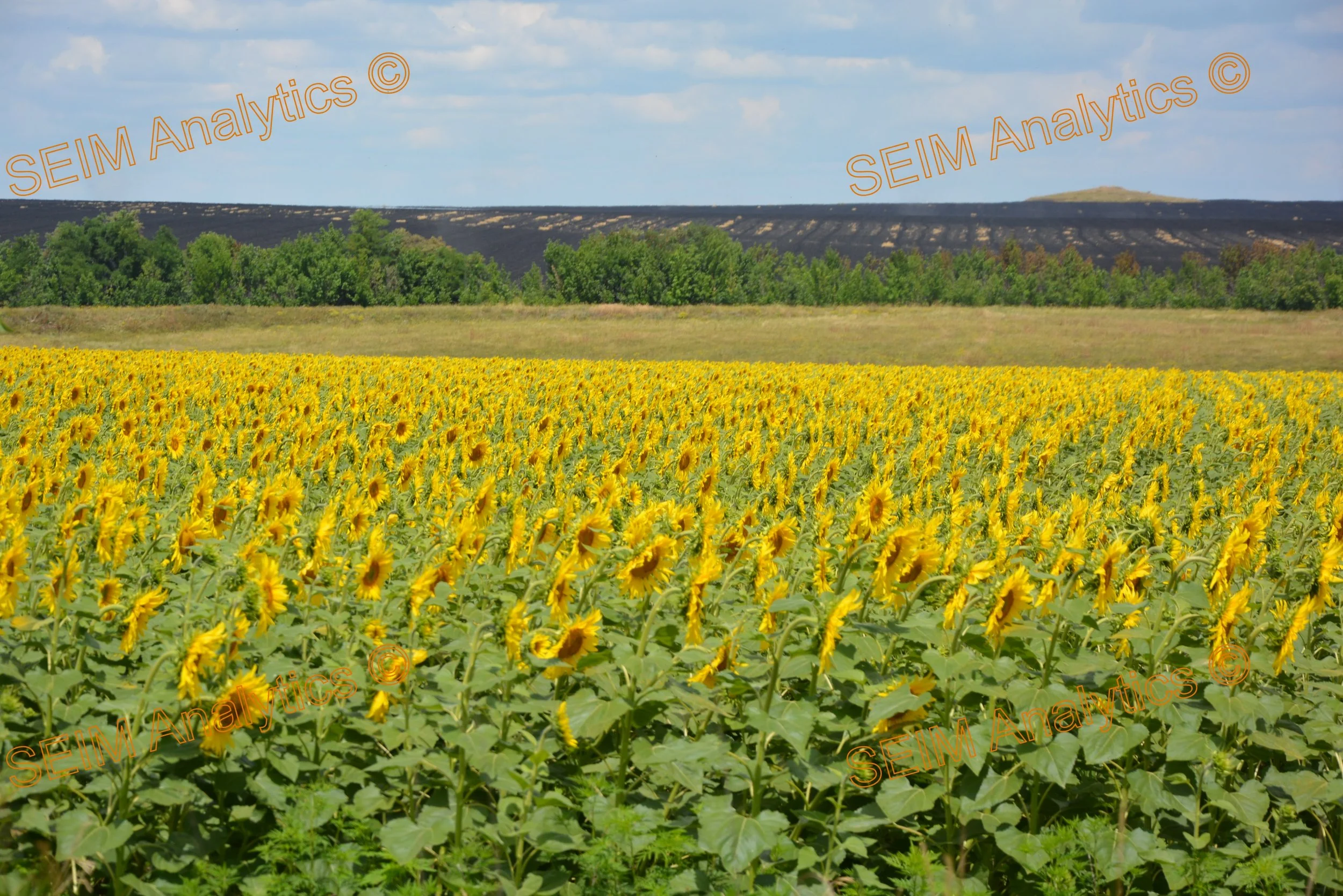 Dnipropetrovsk region between Nikopol and Zovty Vody