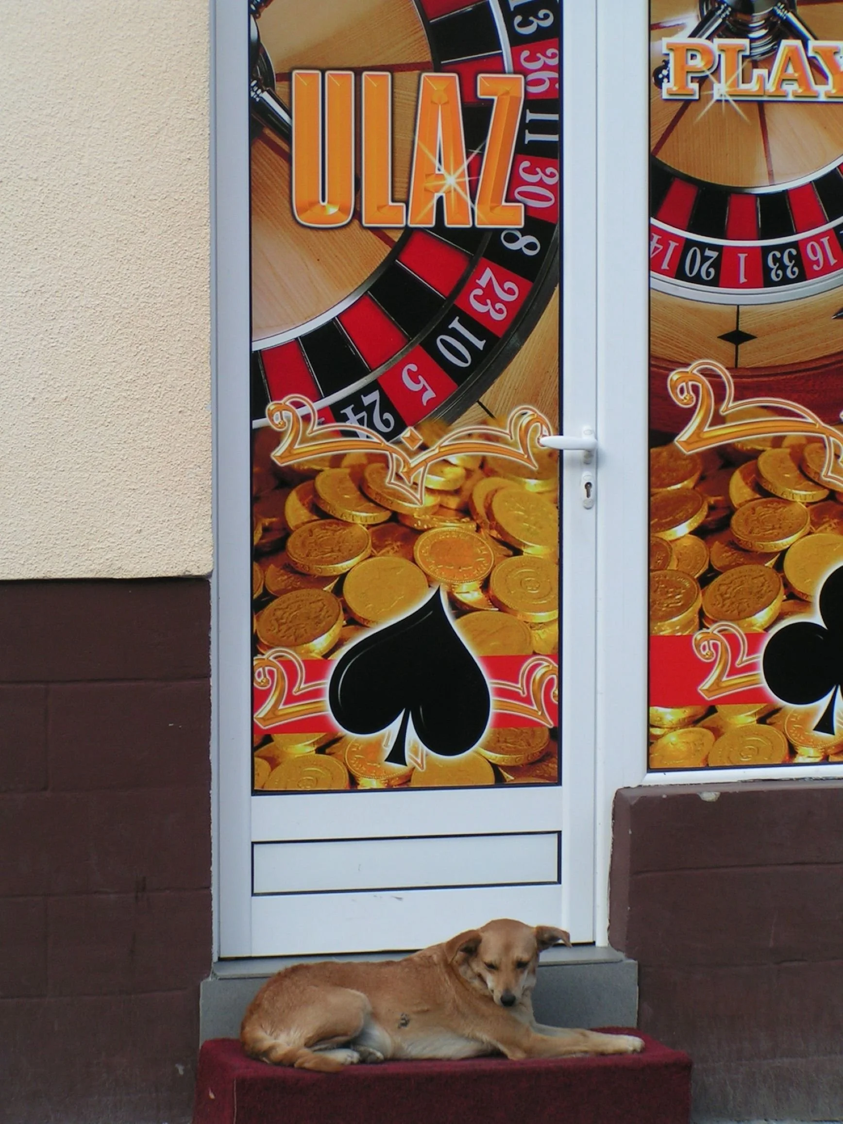 Dog lying on a red mat in front of a door decorated with casino-themed graphics, including a roulette wheel, coins, and playing card symbols.