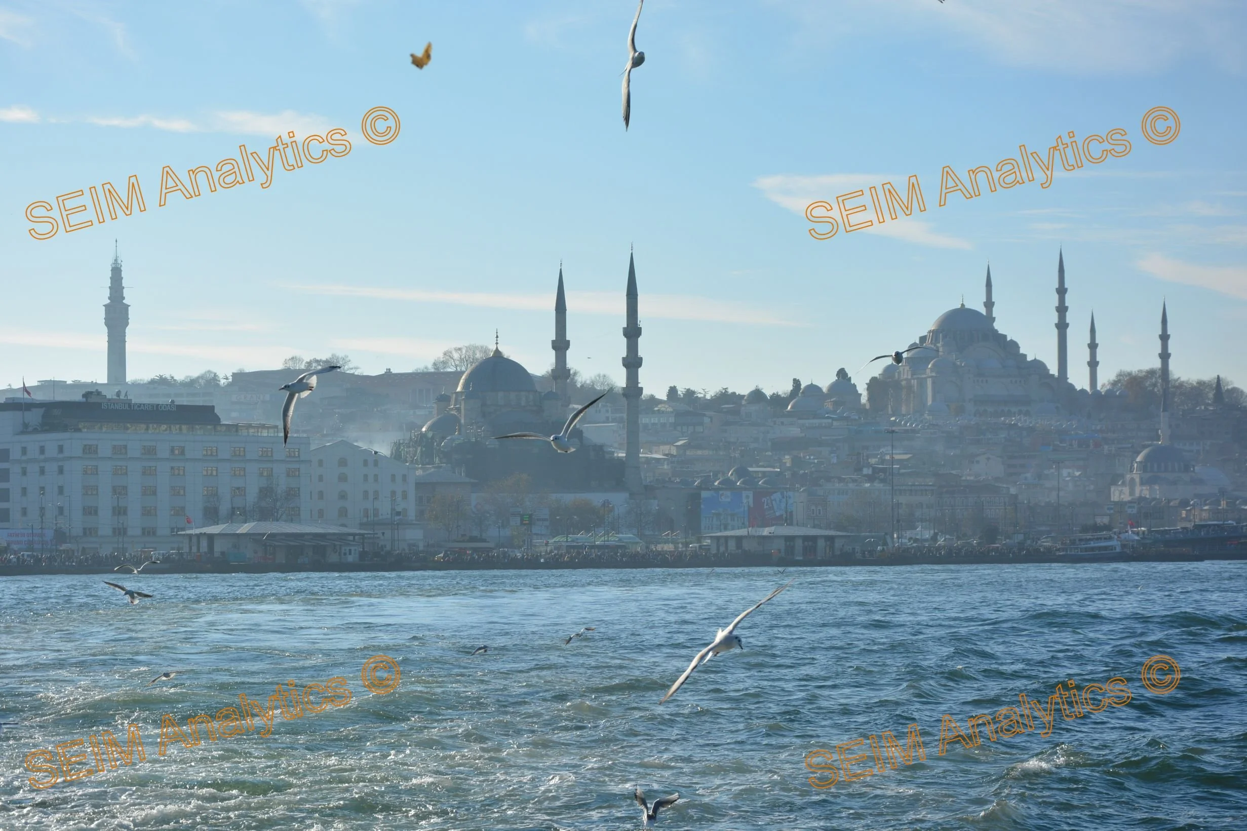 ISTANBUL Dec-2018 (198).JPG